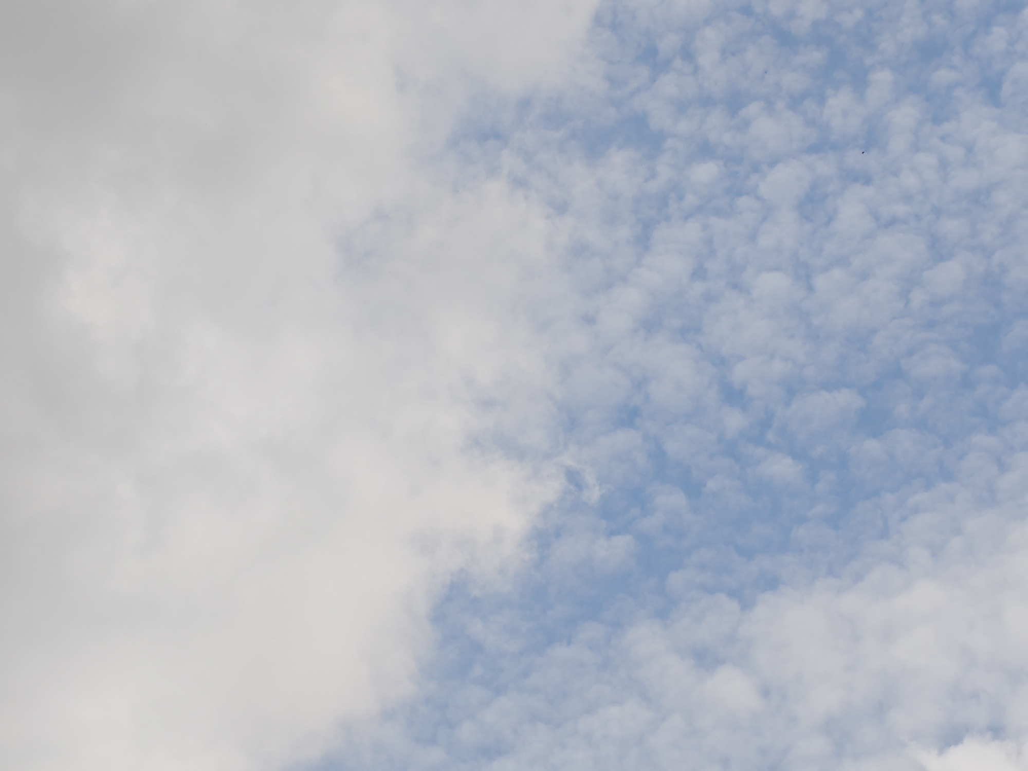 The image shows a cloudy sky with a distinct division between large, white, fluffy clouds on the left and a patch of scattered, smaller, puffy clouds against a bright blue sky on the right. There is no indication of the city of Koledino, Russia, or any other terrestrial features or human presence.