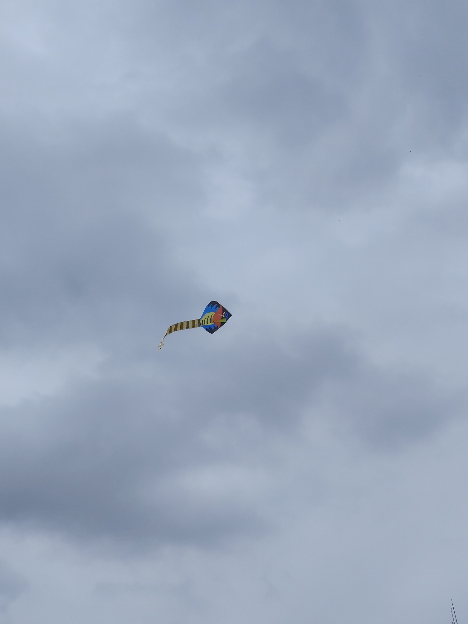 A kite flies against a cloudy sky. The kite is diamond-shaped with a long, striped tail. The location appears to be Lang Biang - Da Lat, Vietnam. There are no people visible in the frame. The primary action is the kite flying. The environment is overcast.