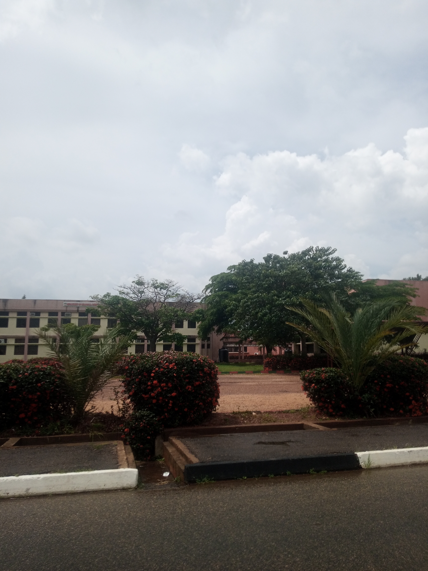A low-angle, full exterior shot captures a cloudy day in Afaka, Nigeria. In the background, a multi-story building with a beige facade and dark-tinted windows stretches across the frame. The building has several air conditioning units visible on its exterior. In the foreground, neatly trimmed hedges with bright red flowers line a paved walkway. A palm tree with green fronds stands to the right of the hedges, partially obscuring the building. The ground in front of the hedges is a reddish-brown gravel. The foreground consists of a dark asphalt road with a white and black curb. The sky is filled with thick, white clouds.