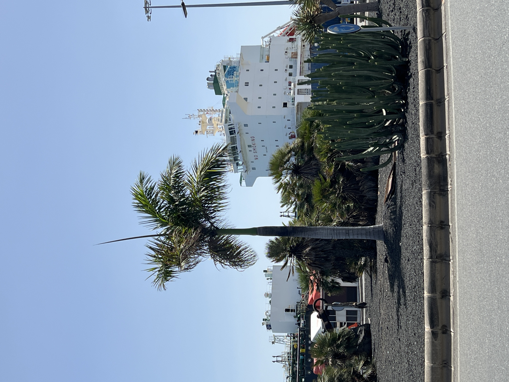 The image depicts a sunny day in Las Palmas, Spain, specifically at the port. In the foreground, a grey asphalt road is visible, bordered by a low, grey concrete curb. Beyond the curb, a circular planter bed is filled with dark volcanic gravel, featuring a tall, slender palm tree and a dense cluster of cactus plants. In the mid-ground, several other palm trees and lush green foliage create a tropical atmosphere. Partially obscured by the vegetation, parts of industrial port structures can be seen. Dominating the background is a large, white cargo ship, easily identifiable by the "NO SMOKING" sign prominently displayed on its superstructure. The ship has multiple decks and windows, with a bright blue railing visible on one section. The sky above is clear and a vibrant blue. No people are present in the frame.
