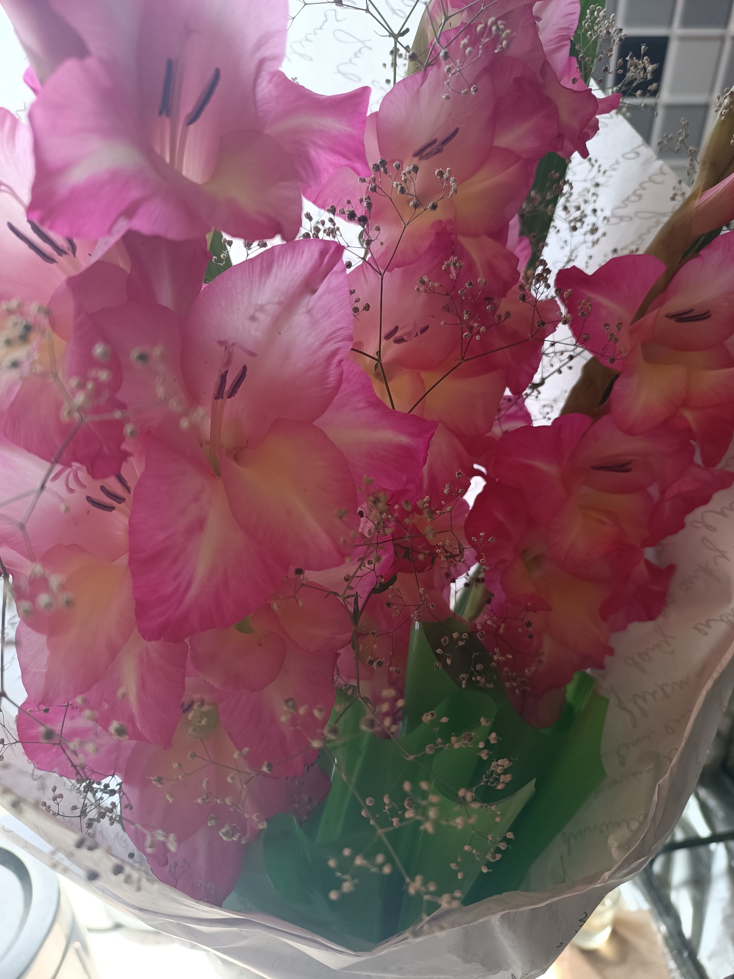 A close-up, overhead shot features a bouquet of pink gladiolus flowers. The flowers are tightly packed, with some of their petals slightly blurred from being out of focus. The gladiolus have dark purple-black anthers and stigmas. Small sprigs of white baby's breath are interspersed throughout the bouquet, adding a delicate texture. The flowers are wrapped in a translucent white paper, which has faint handwritten text on it. The bouquet is illuminated by natural light, creating soft shadows and highlights on the petals. The background is out of focus, with hints of green leaves and a blurry, tiled pattern. The image does not show any specific location in Vypasne, Ukraine, as it is a close-up of flowers.