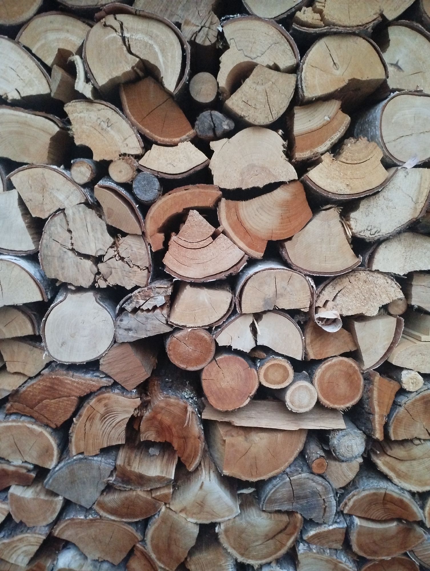 A full frame, close-up, vertical, eye-level shot shows a tightly packed stack of cut firewood. The wood is of various sizes and shapes, with many pieces showing visible grain patterns, cracks, and the rough texture of bark. The colors range from light beige and tan to reddish-brown and dark grey, with some pieces exhibiting distinct rings and growth patterns. The firewood is arranged in a seemingly random yet stable manner, filling the entire frame from edge to edge. No people, animals, or other objects are present. The environment is indistinct, with the focus solely on the texture, color, and form of the stacked wood.