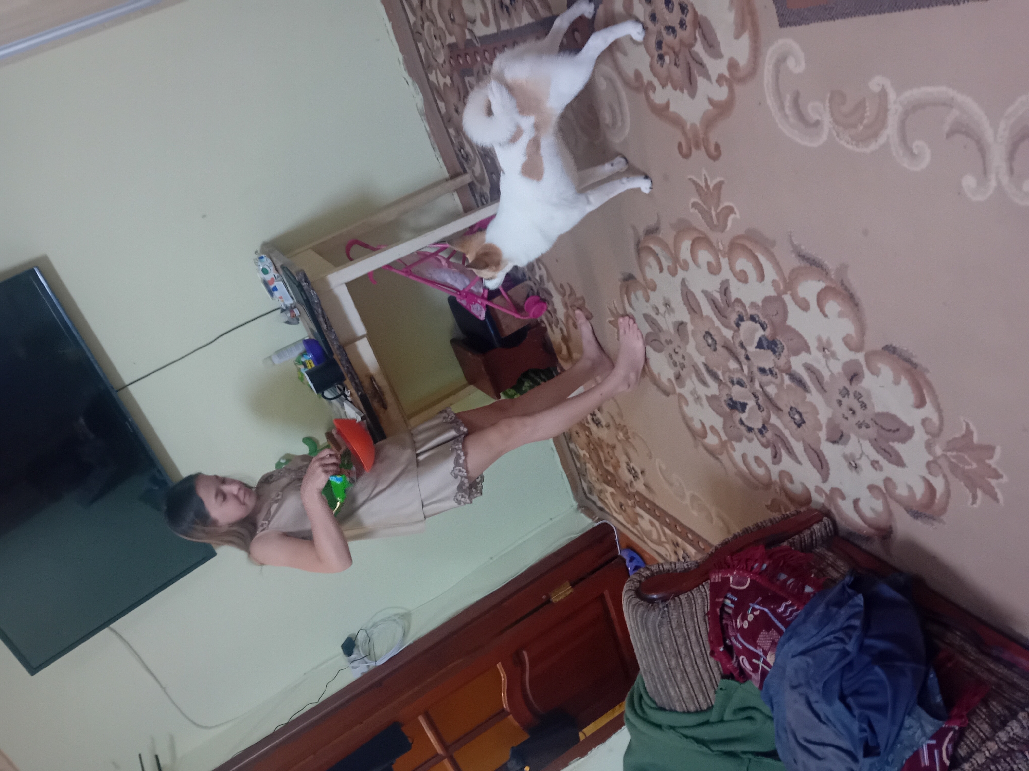The image shows a woman standing in a room, holding a small orange and green object. She is wearing a light-colored dress. A white and tan dog is lying on a rug. The room has a television, a wooden cabinet, and a patterned rug. The lighting suggests it is daytime. The setting appears to be domestic. There are no visible text elements in the image.