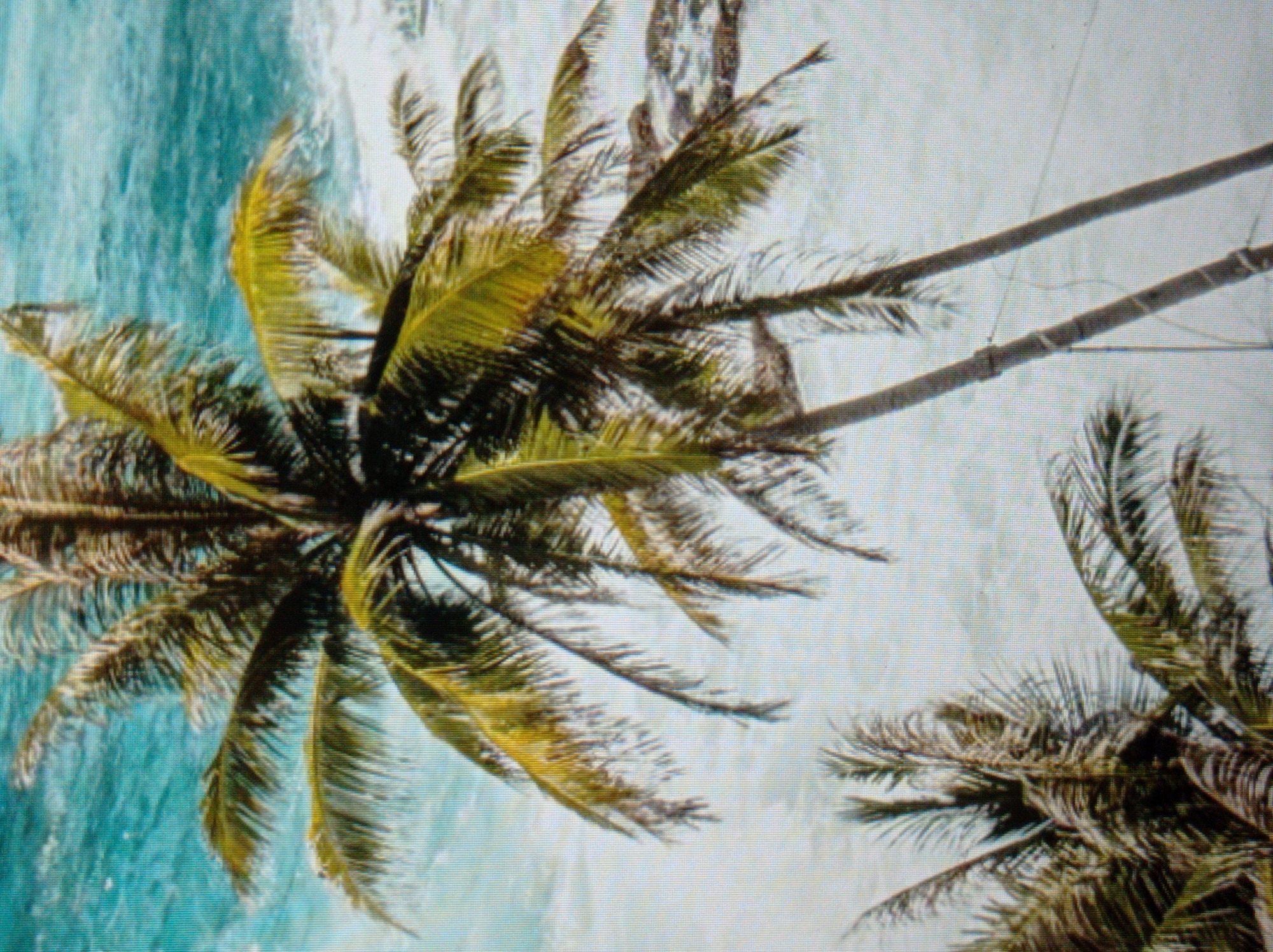 The image depicts a close-up view of several palm trees against a backdrop of turbulent, turquoise water. The palm fronds, predominantly green with hints of yellow, are dense and appear to be swaying. The water is a vibrant blue-green, with white foam indicating waves or surf breaking. The overall scene evokes a tropical or coastal environment. There is no visible indication of the city of Mukachevo, Ukraine, or any people within the image.