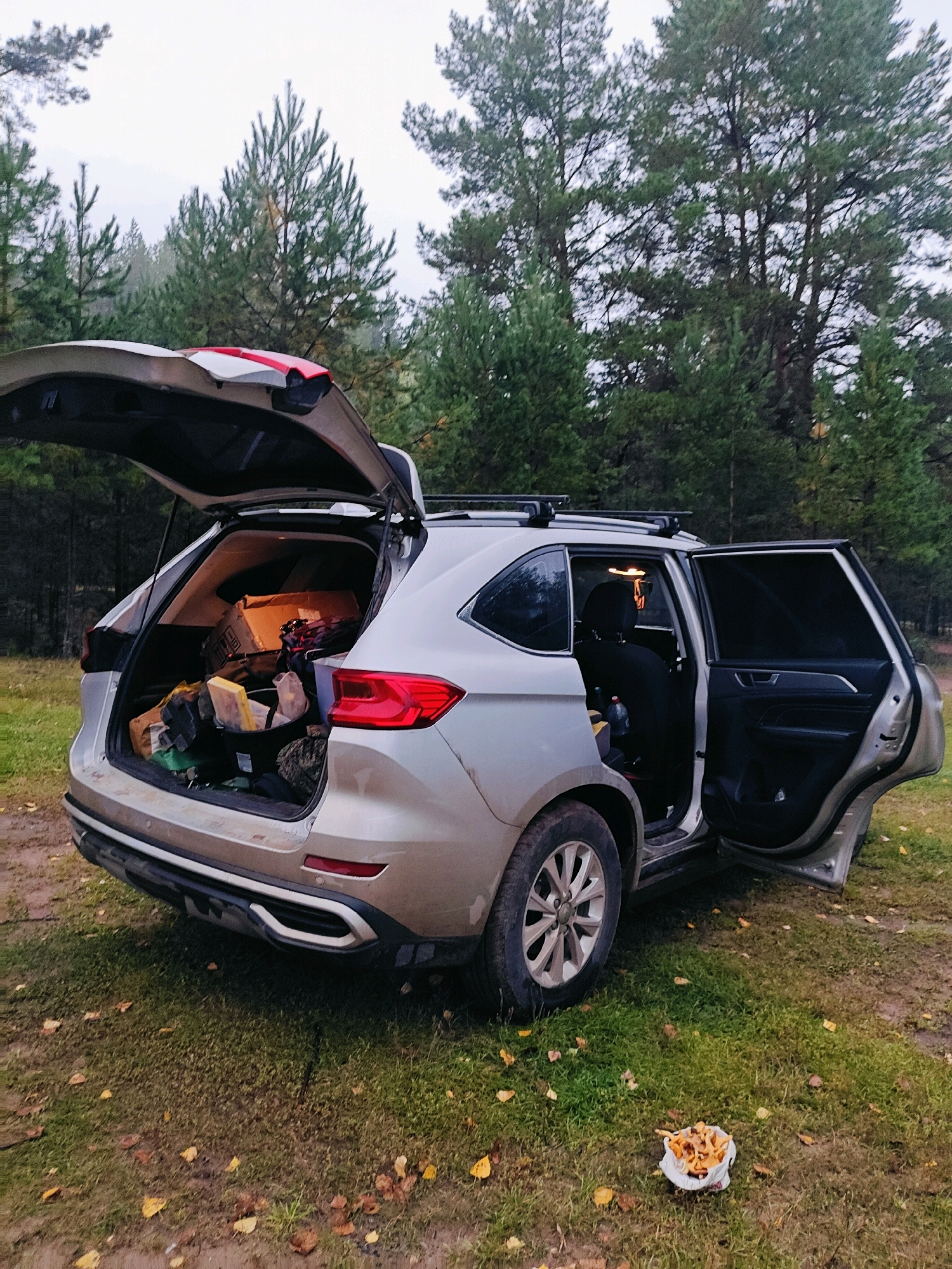 An overcast, cool day in Chaikovsky, Russia, features a light-colored SUV parked on a dirt and grass patch near a forest. The rear hatch and the passenger-side rear door of the vehicle are open, revealing the interior packed with various items, including boxes, bags, and what appear to be camping or outdoor gear. The trunk contains a large cardboard box, several fabric bags, and other assorted items. A white plastic bag filled with mushrooms sits on the grass in the foreground. The surrounding environment consists of a dense forest with tall pine trees and fallen autumn leaves scattered on the ground. The scene suggests preparation for or aftermath of an outdoor excursion or activity.