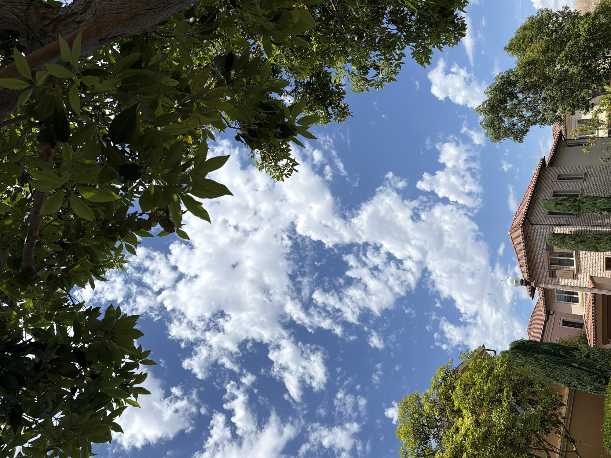 The image shows a low-angle view looking up at a bright blue sky filled with fluffy white clouds. Lush green trees with dense foliage frame the top and sides of the shot. On the right side of the image, a portion of a multi-story building with a terracotta tiled roof and brick facade is visible, suggesting an urban or suburban setting. The building has several windows and is partially obscured by cypress trees. The sunlight filtering through the leaves and the clear sky indicate it is daytime, likely mid-morning or afternoon. There is no discernible activity or people in the image. The scene evokes a sense of peace and natural beauty juxtaposed with man-made structures. The location is identified as Irvine, United States of America. No text is visible in the image.