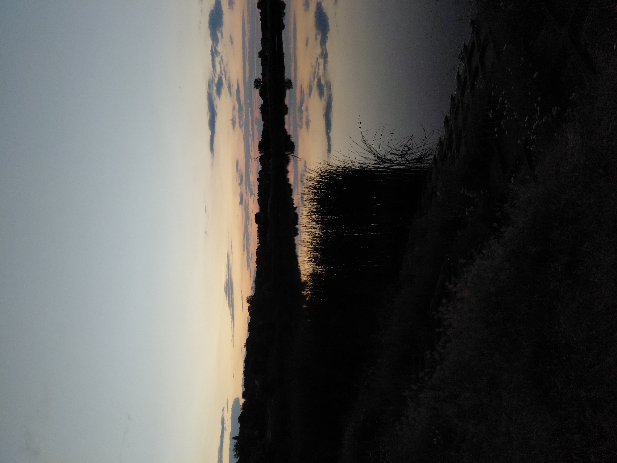 This is a nighttime photograph of a tranquil lake at dusk. The sky is a gradient of pale blue and orange, with a few wispy clouds scattered across it. The lake is calm and reflects the sky and the surrounding trees, creating a mirror image. The shoreline is lined with tall reeds and dark vegetation. The overall mood of the image is peaceful and serene. The photograph was taken in the village of Ustyvytsia, Ukraine. There are no people or animals visible in the image, nor any man-made structures other than what may be implied by the context of the village. The scene is entirely natural and undisturbed.
