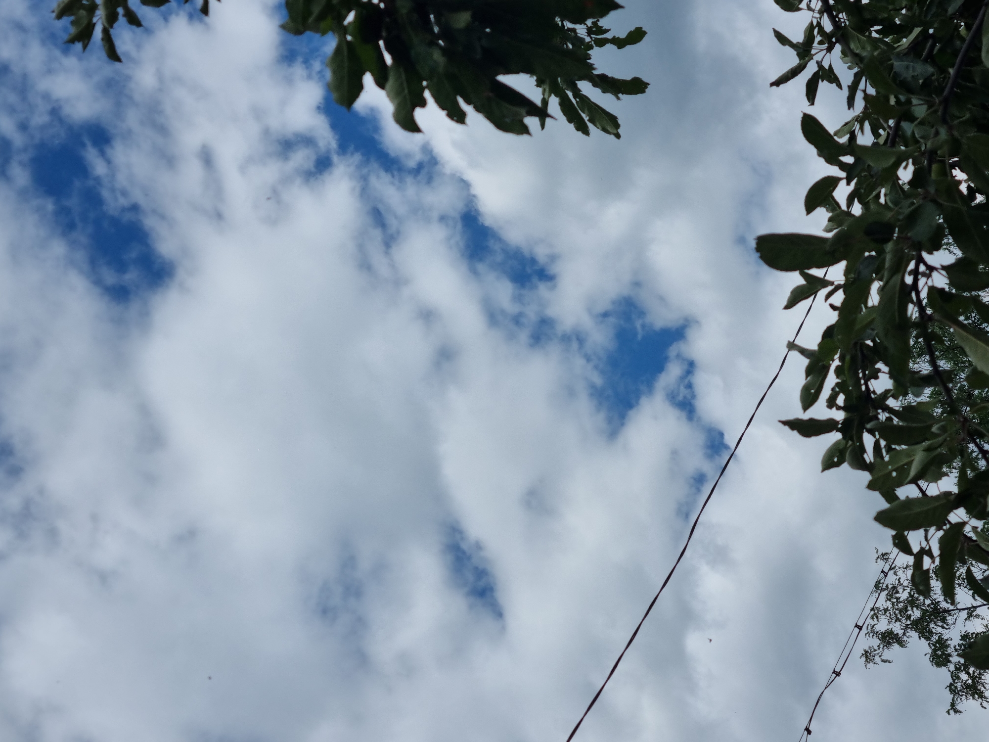 The image shows a cloudy sky with patches of blue visible. In the foreground, dark green leaves and branches of trees obscure the view. A thin black wire stretches horizontally across the middle of the frame. The scene is outdoors, suggesting it could be in a park or a residential area. Given the provided context, this image was likely taken in Dabravka, Bulgaria.