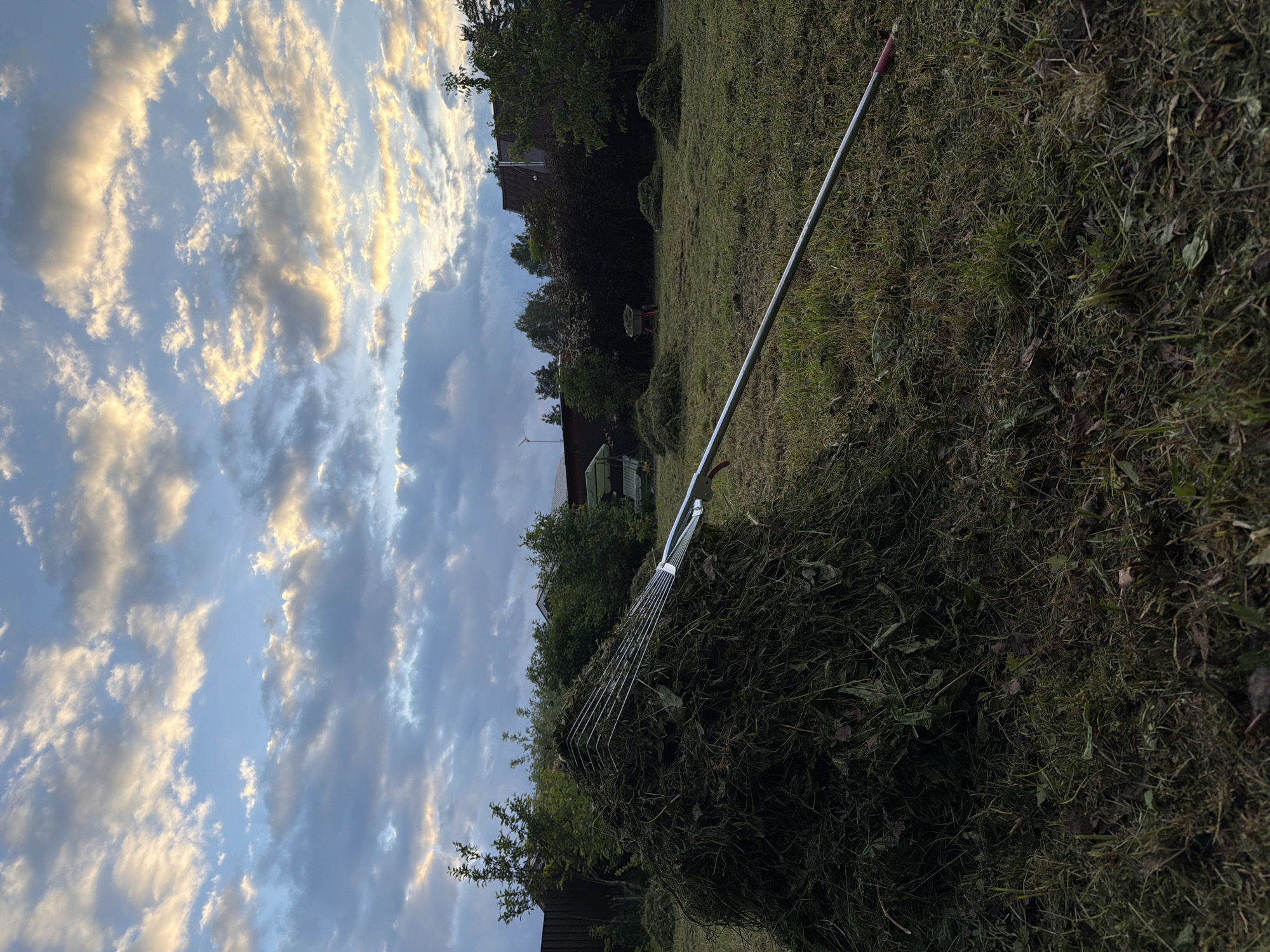 The image depicts a backyard scene at dusk in the city of Kerro, Russia. In the foreground, a large pile of freshly cut grass sits on a grassy lawn, with a rake resting on top and extending diagonally across the frame. The rake has a metallic head and a long handle with a red end. Scattered across the lawn are several smaller piles of grass. In the background, a wooden fence runs along the left side of the property, bordered by trees and bushes. Further back, residential buildings with dark roofs are visible, nestled amongst more trees. The sky above is a dramatic display of clouds, with patches of blue sky and hues of orange and yellow indicating the setting sun. The overall impression is one of a completed or ongoing lawn maintenance task under a picturesque sky.
