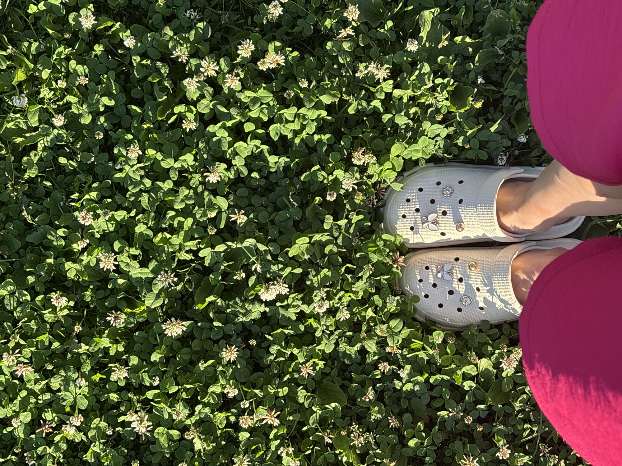 The media file depicts a close-up, top-down view of a person's feet wearing white Crocs, adorned with decorative charms, standing on a patch of green clover with small white flowers. The person is wearing bright pink leggings. The scene is set outdoors, with sunlight casting shadows on the clover, suggesting a sunny day. The overall impression is one of casual relaxation in a natural, grassy environment. The location context provided is Камское, Russia. There is no visible text in the media file.