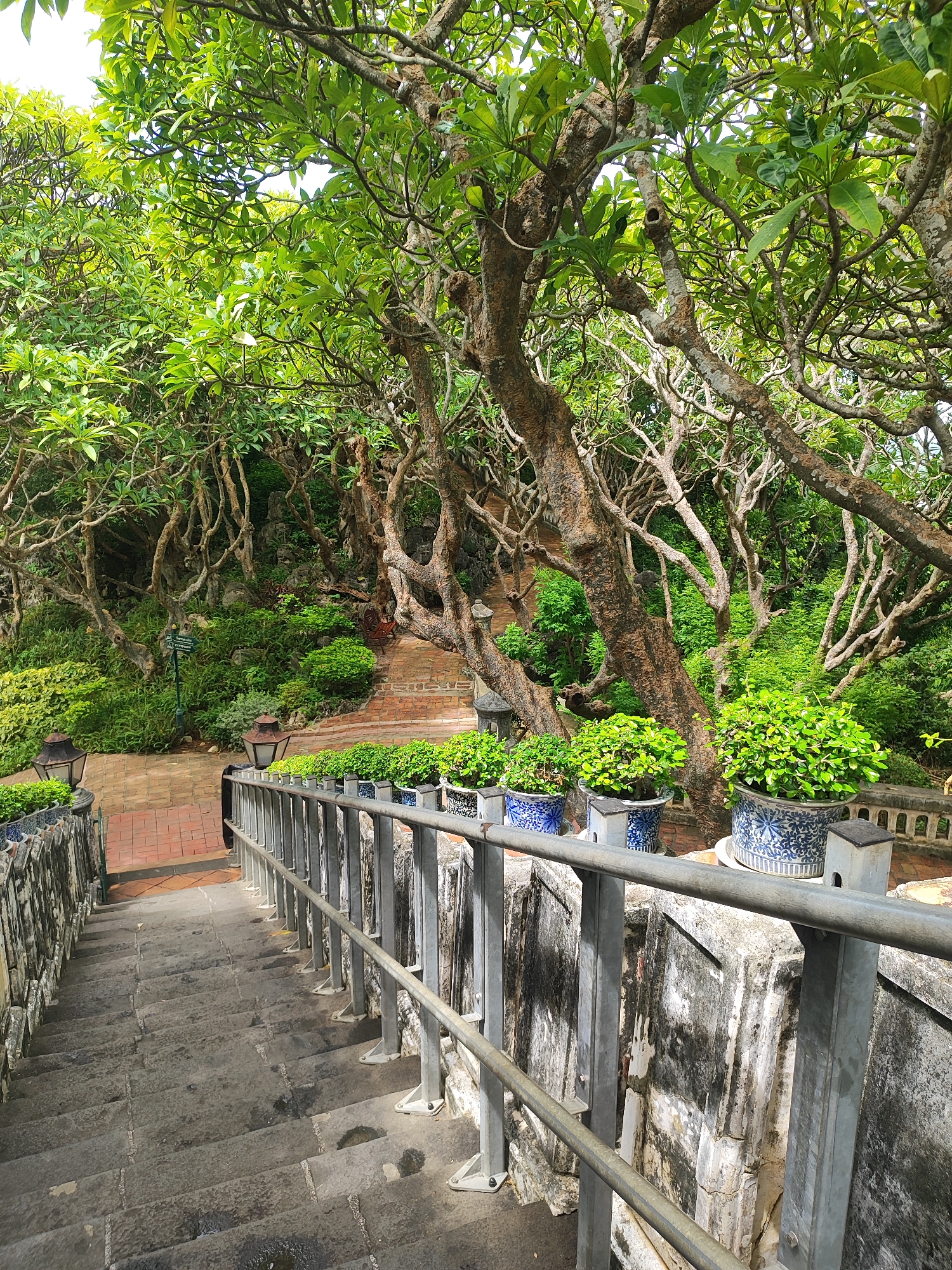 The image shows a stone staircase descending, flanked by a metal railing on the right. The staircase appears worn and some steps are wet. On the left side of the staircase, there are tiled walls, and further up, a brick pathway. The scene is heavily shaded by lush green trees with gnarled branches, suggesting a tropical or subtropical environment. Several potted plants with vibrant green foliage are placed on a ledge behind the railing. In the background, there is a dense arrangement of trees and vegetation, with hints of stone structures and more pathways. The overall impression is of a serene, possibly historical or natural site within a park or temple complex. This scene is likely located at Wat Khao Bandai It, a temple complex in Phetchaburi, Thailand, known for its numerous caves, stairs, and natural beauty, which aligns with the visual elements captured in the photograph.