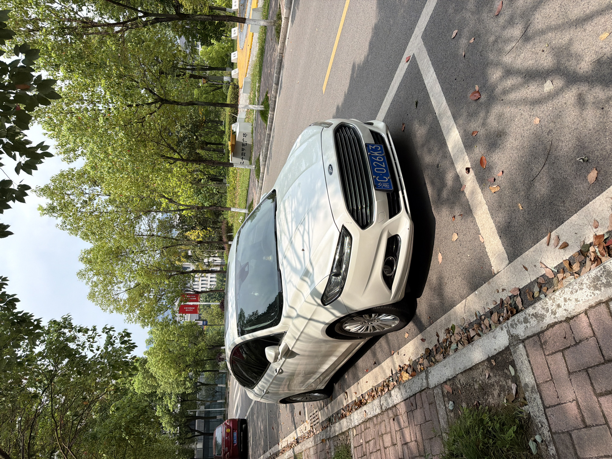 A white Ford sedan is parked parallel to a tree-lined street in Jiangjin, China. The car is in the foreground, angled slightly towards the viewer. Its license plate reads "渝C-026K3." The street is paved with asphalt, marked with white parking lines and a yellow center line. A brick sidewalk runs along the left side of the street, with a patch of green grass and fallen leaves. In the background, there are numerous mature trees with green foliage, casting shadows on the road. Behind the trees, several buildings are visible, including one with red banners. Another red car is parked further down the street on the left. The sky is partly cloudy. The scene appears to be a public street in an urban or suburban area.