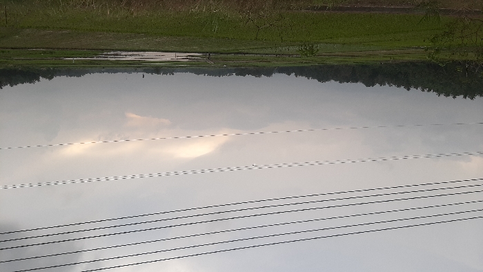 The image depicts a rural agricultural landscape in Payabeunyot, Indonesia, under an overcast sky. The upper portion of the frame is dominated by a grey, cloudy sky with a faint, lighter yellowish hue visible through a break in the clouds on the right. Six to seven dark, parallel power lines traverse the sky horizontally, with two fainter dashed lines below them. The horizon is marked by a dense line of dark green trees, likely tropical foliage. Below the treeline, vast, segmented green fields, identified as rice paddies, stretch into the foreground. Portions of these fields contain young green crops, while others are partially flooded with standing water. A small, light-colored structure or raised wooden walkway is visible in a flooded section of the field, slightly right of center. A solitary, dark, indistinct figure or object stands in the distant field, left of center. The immediate foreground shows a narrow strip of dry, brown and green vegetation. No direct human actions or interactions are depicted.