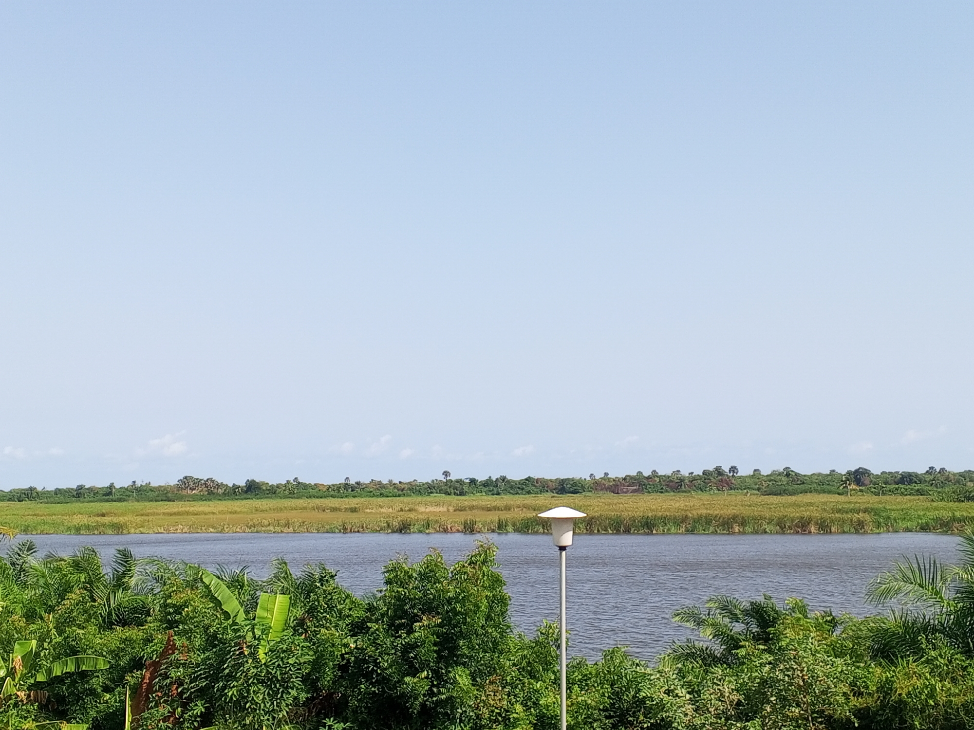 The image presents a daytime view of a body of water (river or lake) near Tawpo, Nigeria. The sky is a pale blue. A grassy shoreline is visible across the water. In the foreground, lush green vegetation, including various trees and shrubs, is prominent. A white, modern lamppost is situated among the trees.