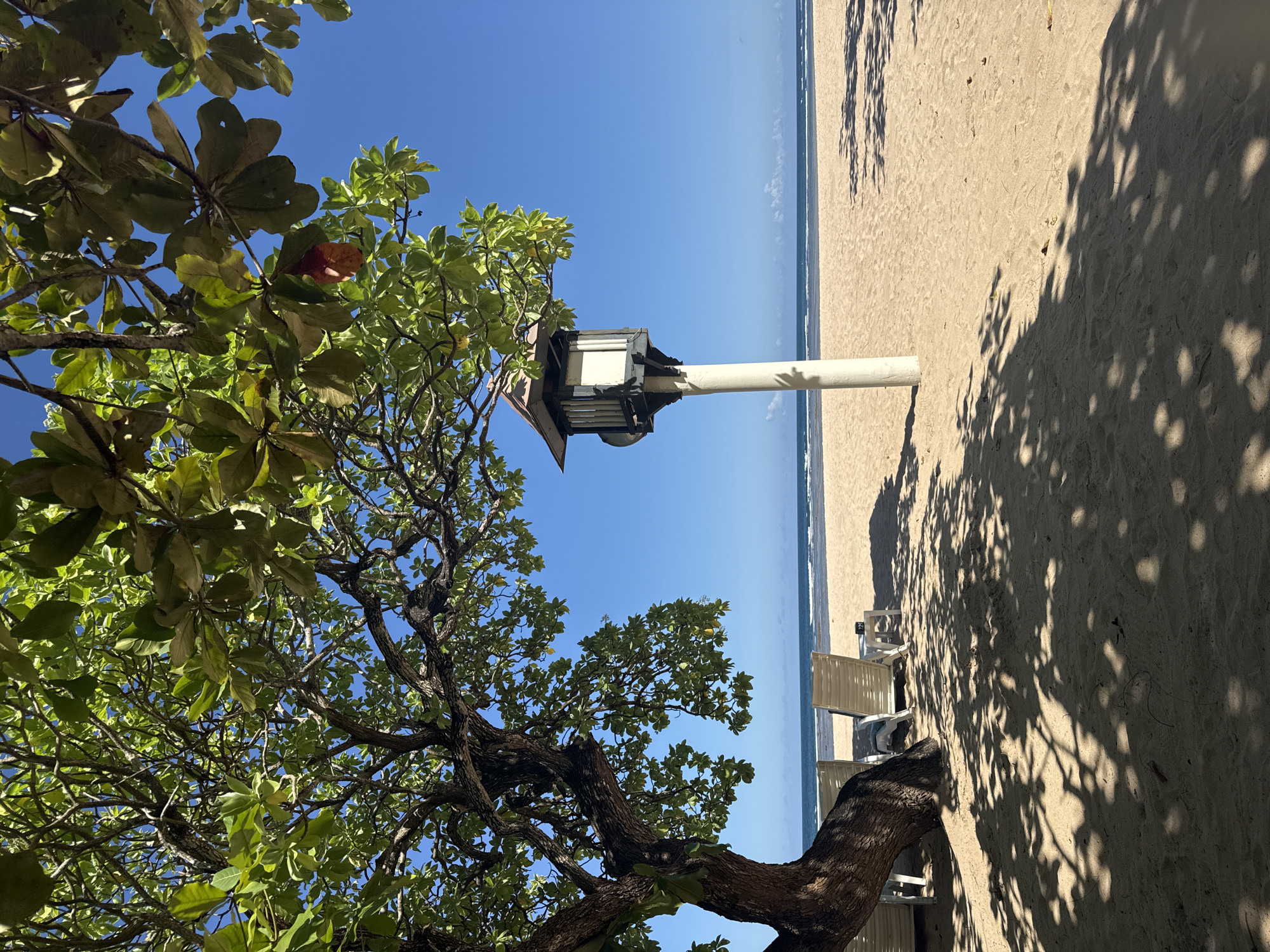 The image shows a beach scene, likely in Kuta Selatan, Indonesia, based on the vegetation and beach characteristics. The photograph is oriented sideways. A white cylindrical pole supports a light fixture with a tiered roof and louvered sides. A leafy tree with large, green leaves frames the left side of the image. The background reveals a sandy beach merging with the ocean under a clear blue sky. Shadows of foliage are cast across the sand. Beach chairs are visible on the sandy beach.