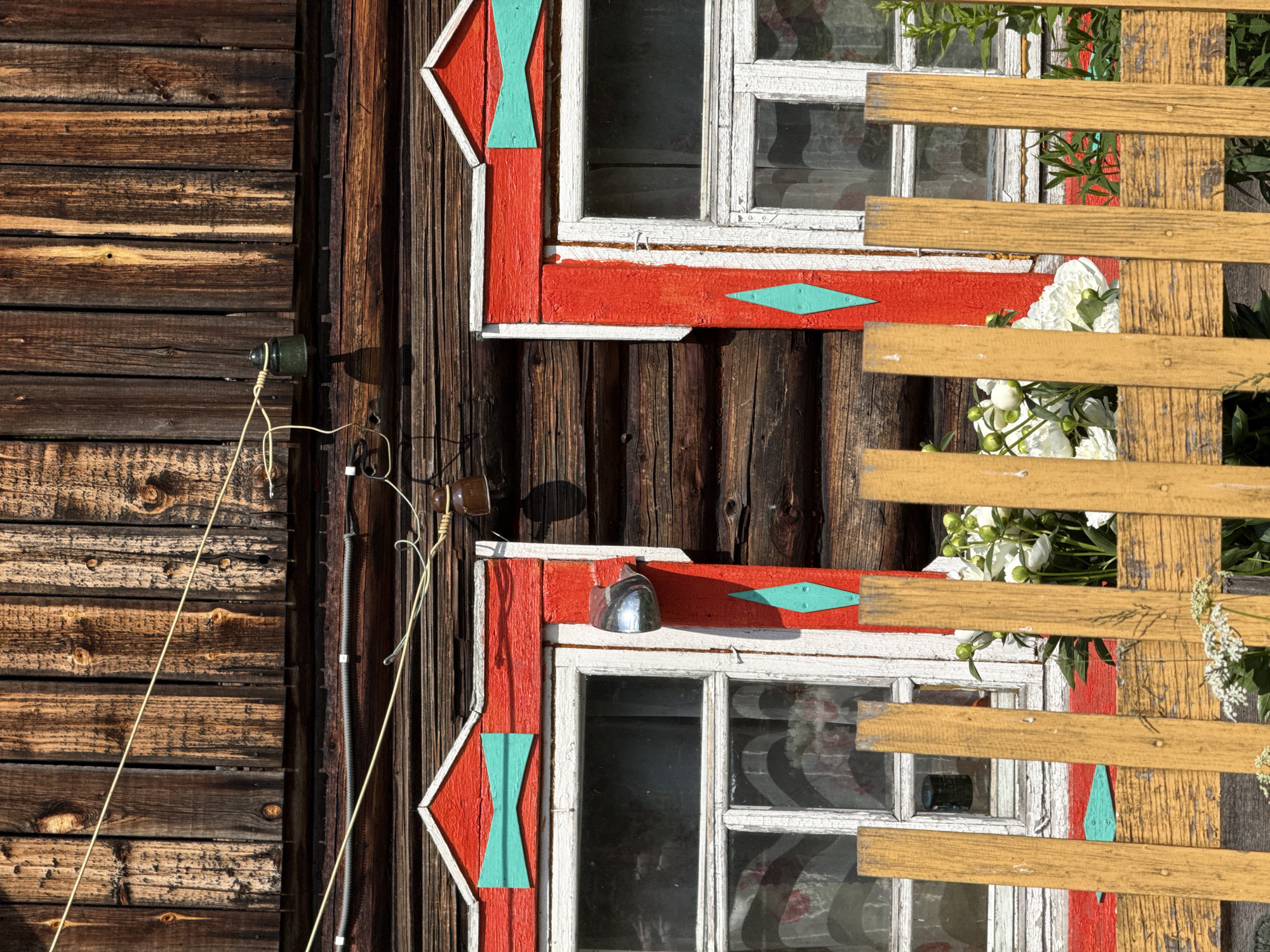 The image depicts a close-up view of a rustic wooden house exterior with two prominent windows. The house is constructed from dark, weathered logs. The window frames are painted a vibrant red with white trim, and each window features a decorative turquoise element. The window on the left has a turquoise bow-tie shape above it, and the window on the right has a turquoise diamond shape below it. A simple, weathered yellow wooden fence runs across the foreground, partially obscuring the lower portions of the windows. Behind the fence, a cluster of white peonies and other greenery is visible. Overhead, electrical wires with ceramic insulators are strung across the facade of the house. The overall scene suggests a rural setting, possibly in a village or town like Zasechnyi, Russia, given the traditional architectural style.