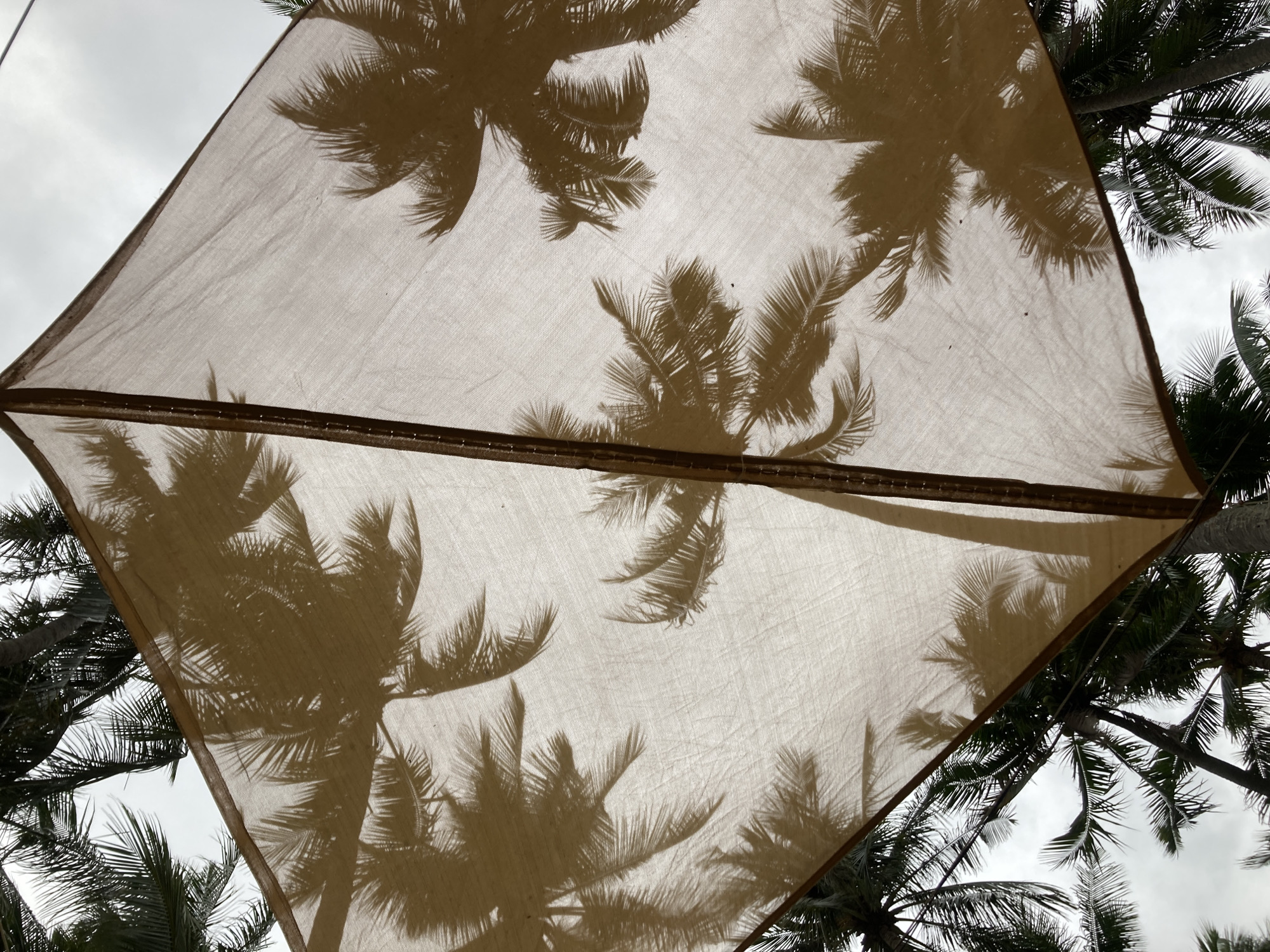 A low-angle shot of a square shade sail. Shadows of palm fronds are cast on the sail. Palm trees are visible in the margins, with a cloudy sky in the background. The location is Mũi Né, Vietnam.