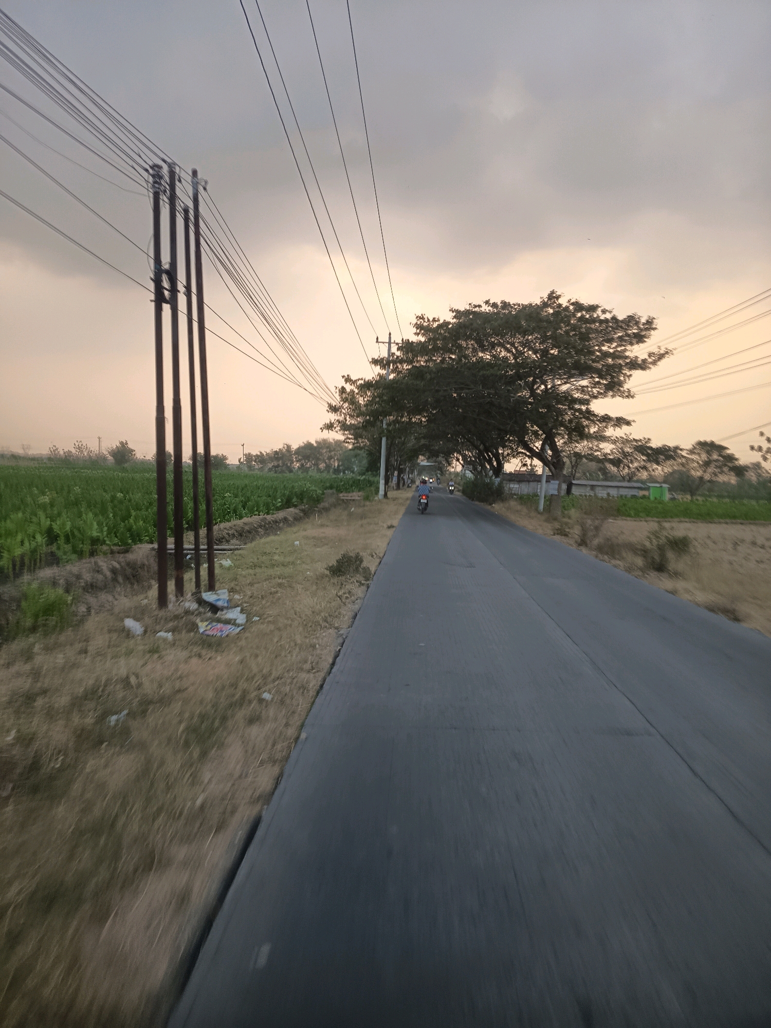 The image depicts a road with power lines overhead and a rural landscape on either side. On the left, a field of green crops is visible, with a cluster of three utility poles in the foreground. The ground around the poles is covered in dry grass and some scattered debris. On the right side of the road, there is a field of dry grass and a few trees. A road stretches into the distance, with two motorcycles visible on it, each carrying one rider. The sky is overcast with a warm, golden hue, suggesting either sunrise or sunset. The scene appears to be in a rural area, possibly the city of Nglobar, Indonesia, given the context. The perspective suggests the photo was taken from a moving vehicle.