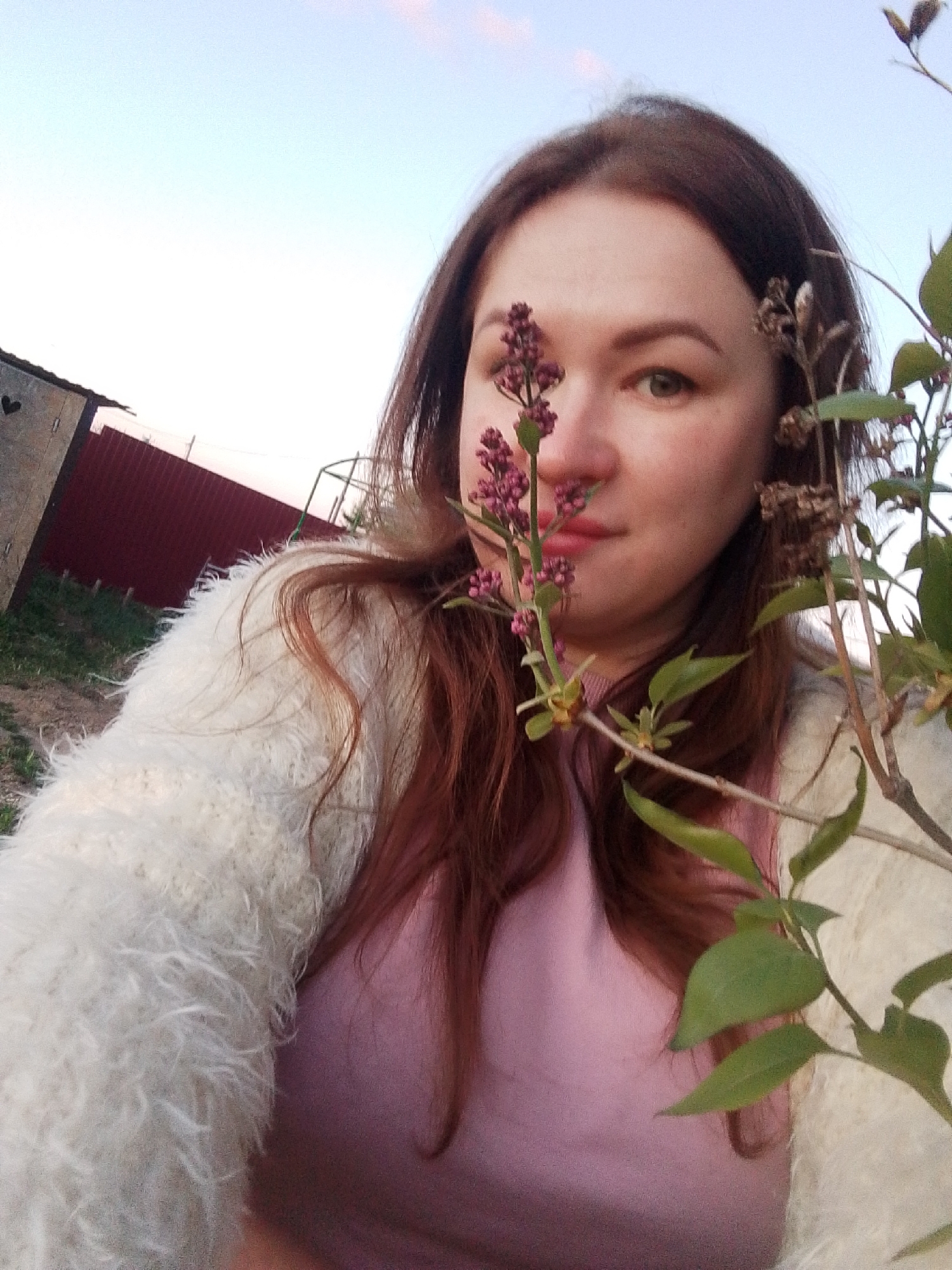 A woman with auburn hair is the focal point of the image, posing with a sprig of purple lilacs held up to her face. She wears a pink top and a white, fuzzy cardigan. The background includes a fence painted red and some small outbuildings, all set against a light blue and pink sky. The overall setting suggests a garden in the Прикамский, Russia area.
