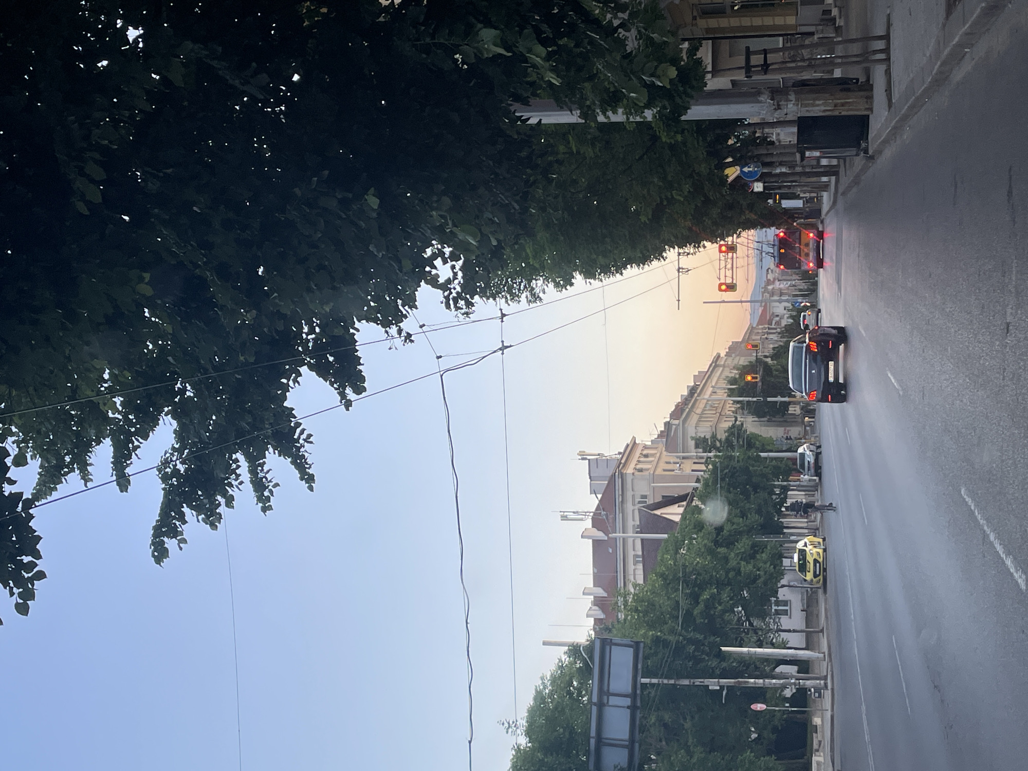This image shows a street scene in Sofia, Bulgaria. It's taken from a vehicle moving on a road lined with trees and buildings. Several vehicles, including cars and a trolleybus, are present on the road. Traffic lights are visible. Overhead power lines run along the street. The sky is light blue, hinting at either early morning or late evening.