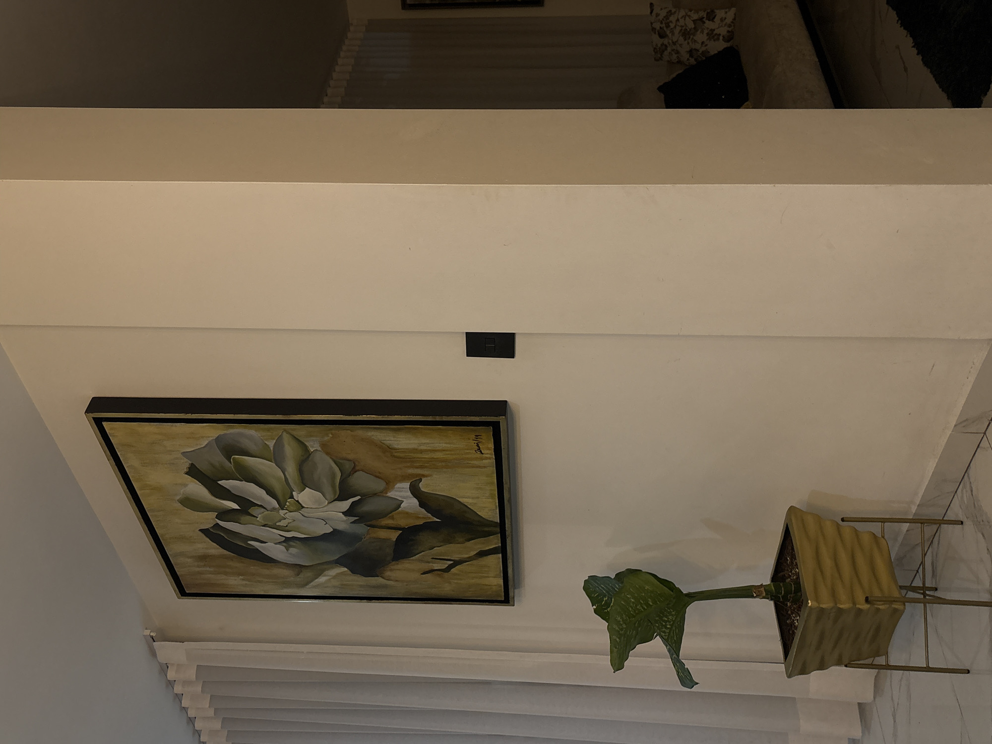 A low-angle indoor shot depicts a wall in San Bernardino Tlaxcalancingo, Mexico, adorned with a floral painting in a dark frame. A potted plant in a gold-colored pot sits adjacent to the painting. A horizontal electrical outlet is also visible on the wall above the painting. The bottom of the shot reveals white Venetian blinds. Parts of furniture, including a sofa and cushion, are visible near the top.