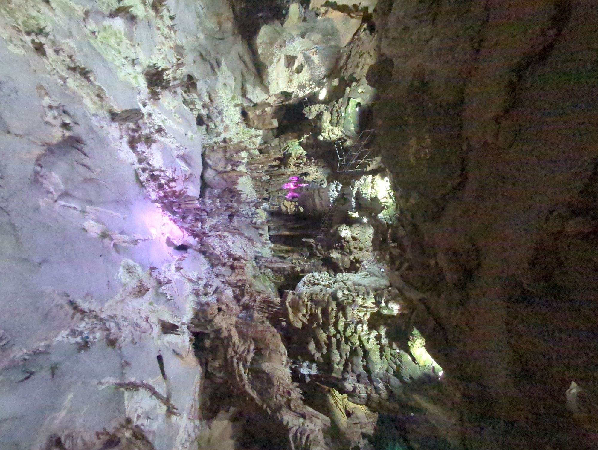 The image depicts the interior of a cave, likely the Ledenika Cave near the city of Vratsa, Bulgaria. The cave's natural formations, such as stalactites and stalagmites, are illuminated by artificial lighting, casting colorful hues of purple and green on the rough, textured surfaces of the rock. In the mid-ground, metal railings and a staircase indicate a pathway or viewing area constructed for visitors, suggesting this is a tourist attraction. The foreground is dominated by the dark, textured floor of the cave, with some areas illuminated by soft lighting. The overall environment is dark, damp, and cavernous, characteristic of a subterranean geological formation.