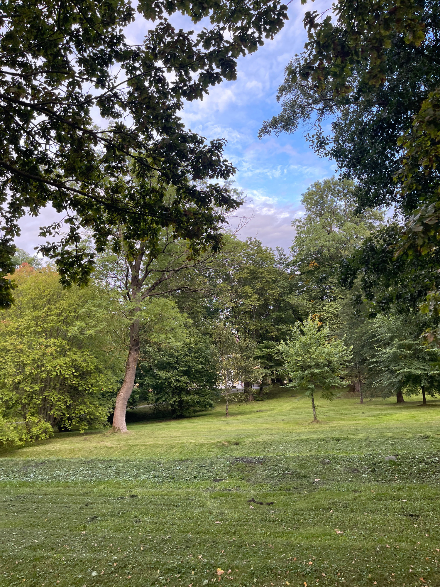 A view of a park in Tallinn, Estonia. The image shows a grassy area with trees. The sky is blue with some clouds. The leaves on the trees are green. There is no one in the image. The scene appears to be a peaceful and natural setting.