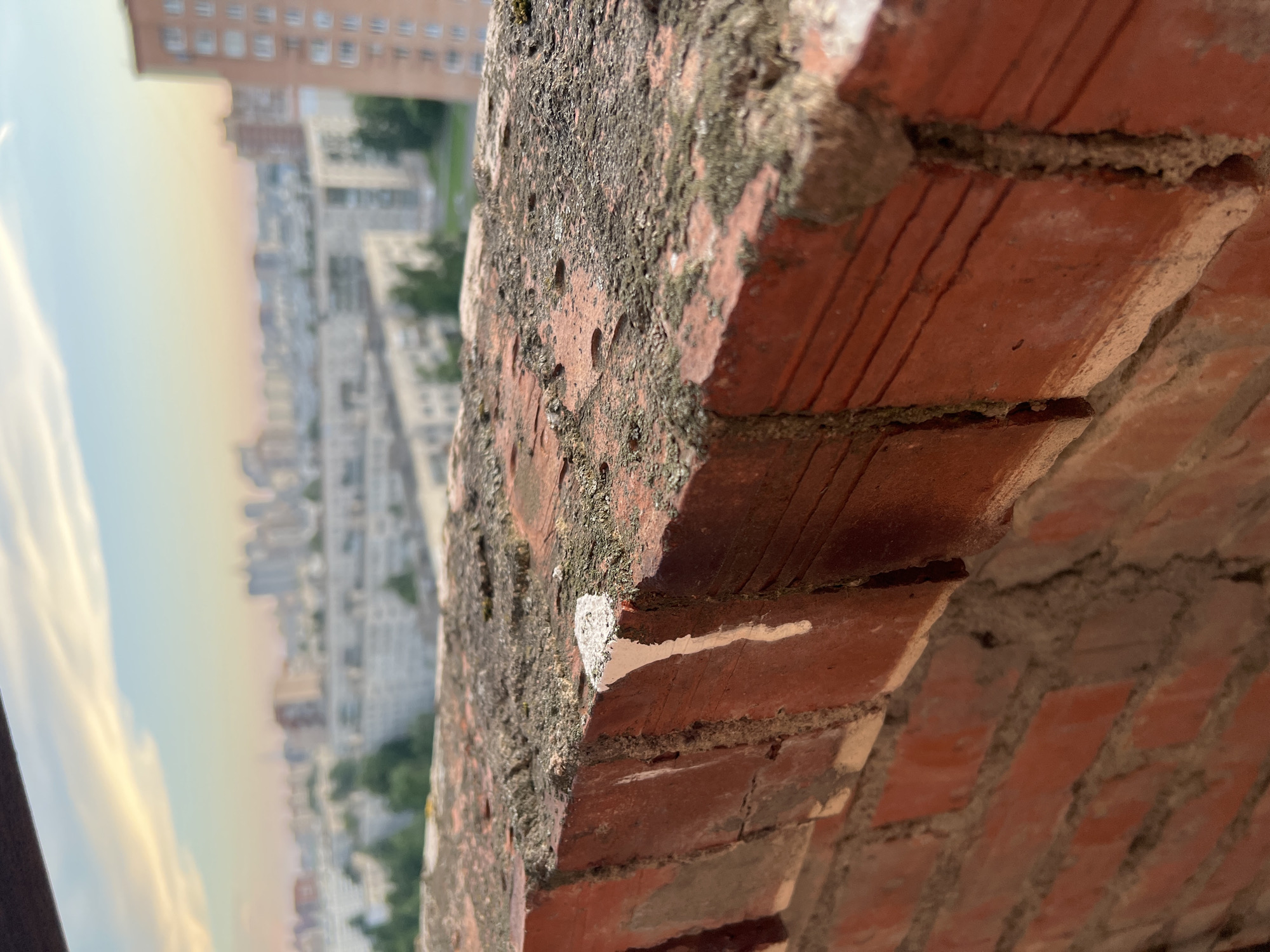 The image captures a close-up view of the top of a red brick wall, weathered with patches of moss and a small drip of white paint. Beyond the wall, a blurred cityscape unfolds under a soft, cloudy sky transitioning from pale yellow to light blue, indicating either sunrise or sunset. The distant urban landscape consists of numerous apartment buildings and some trees, suggesting a residential area within the city of Sinyavino, Russia. The foreground is dominated by the textured, aged brickwork, with the focus sharply on the wall and its immediate surroundings. The background is significantly out of focus, creating a sense of depth. No individuals are present in the frame, and no specific actions are depicted. The scene is static, focusing on the architectural element and the distant urban panorama.