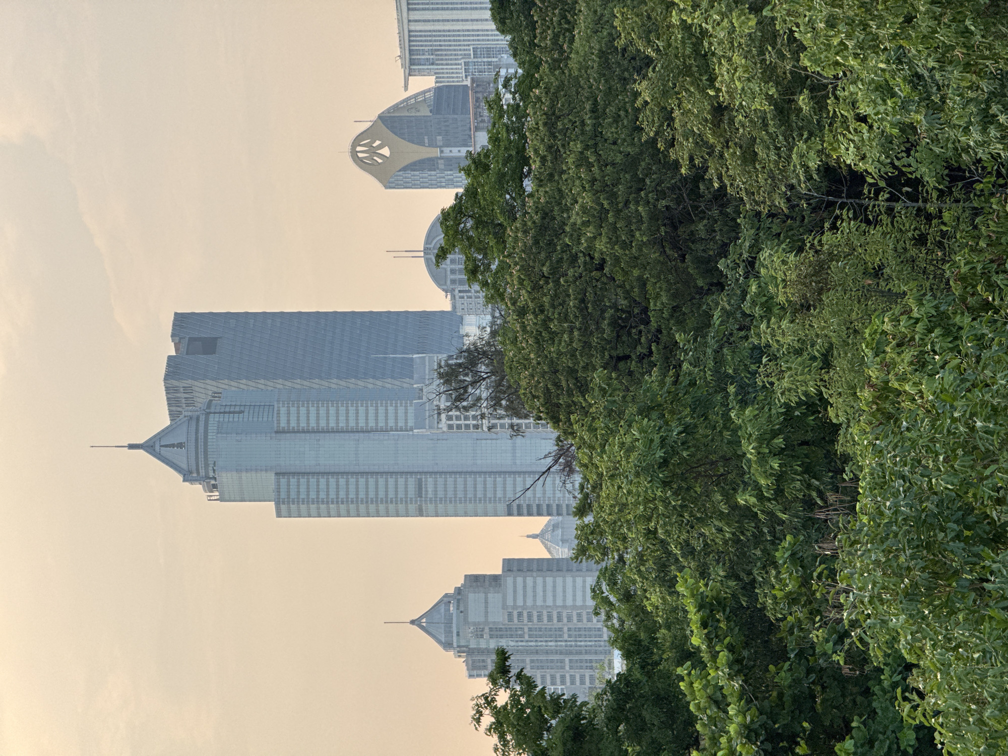 The image shows a view of the Bangkok, Thailand skyline partially obscured by lush green trees. Multiple modern skyscrapers are visible, including a distinctive building with a round dome and another with a lotus-shaped structure on top. The sky is hazy, suggesting either smog or the time of day is near sunrise or sunset. The trees are densely packed, creating a natural foreground and visual barrier that obscures the lower parts of the buildings. The photo appears to have been taken from a higher vantage point, possibly a building or elevated park.