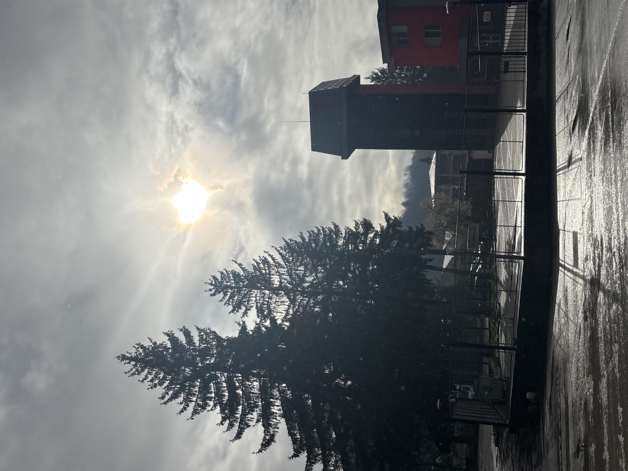 The image depicts a partially obscured cityscape in Troyan, Bulgaria, under a cloudy sky with the sun partially visible. In the foreground, two evergreen trees stand prominently, silhouetted against the bright sky. Adjacent to the trees, a fenced area runs along the edge of a building. The building is two-toned, with a red upper section and a dark-colored, tower-like structure extending upwards. In the background, hints of other buildings and possibly a distant mountain range can be seen through the haze. The foreground also shows a wet or possibly snow-covered surface reflecting light, suggesting recent precipitation. No people are visible in the scene.