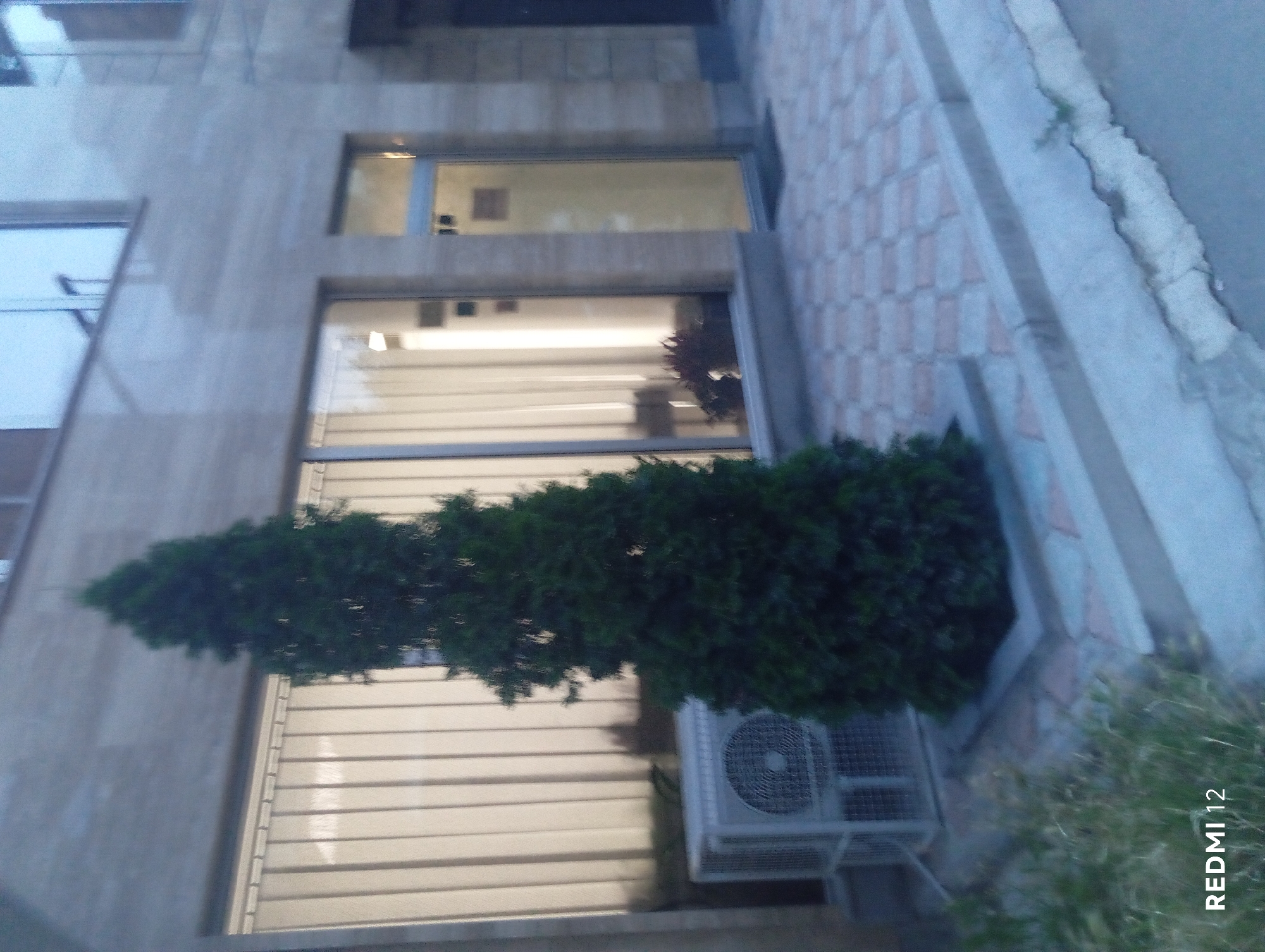 An outdoor, eye-level, medium shot captures a tall, dark green coniferous tree situated to the left of a building. The tree is centered in the frame and stands in front of a modern building with a light-colored, textured facade. To the left of the tree, an outdoor air conditioning unit is visible. The building features large windows with vertical blinds, and a glass door to the right of the tree. The ground in front of the building is paved with square, light-colored tiles. A concrete curb runs along the edge of the paved area. In the lower left corner, the text "REDMI 12" is visible, indicating the device used to capture the image. The overall scene depicts an urban setting, likely in front of an office or commercial establishment.