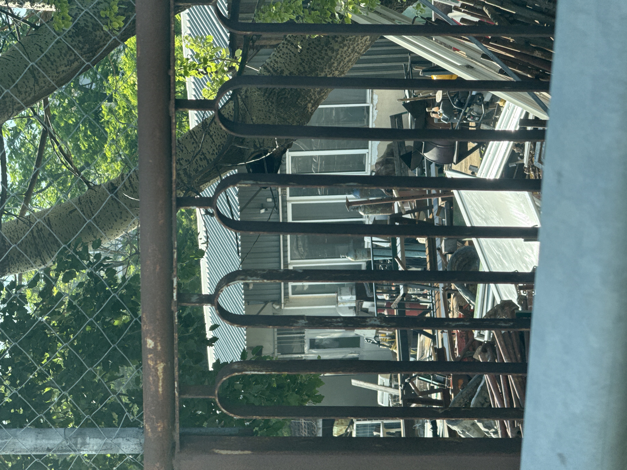 This image shows a cluttered outdoor area behind a rusty metal fence, likely in the city of Varna, Bulgaria. The scene is dominated by a large, mottled tree trunk that leans across the frame, partially obscuring a building with a corrugated metal roof and multiple windows. In the foreground, the fence consists of vertical metal bars with arched tops and a horizontal bar with rust.
Behind the fence and tree, the building appears somewhat run-down, with peeling paint on its exterior walls. Various objects are piled up in front of and around the building, suggesting a storage or workshop area. These include scaffolding poles, metal sheeting, a generator, what appears to be an air tank, and other discarded materials. The overall impression is one of disarray and possibly neglect. Lush green foliage from trees overhangs the scene, indicating it is likely springtime or summer. No people are visible in the image.