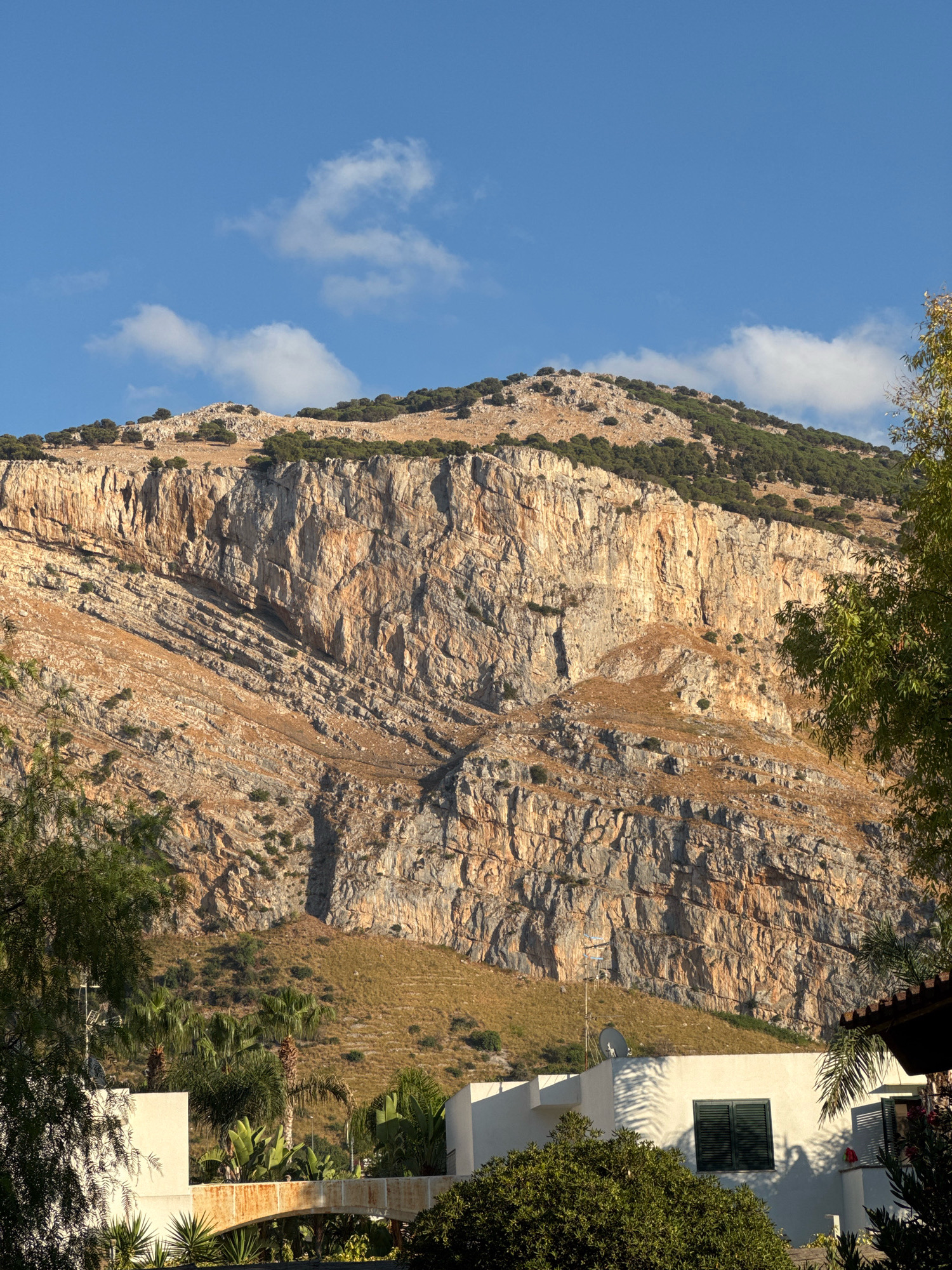 A vertical, medium shot captures a rugged, sun-drenched mountain face rising behind modern white buildings and lush green foliage. The mountain, a dominant feature, exhibits distinct layers of rock, with shades of brown, orange, and tan highlighted by the warm sunlight. Sparse green vegetation, including small trees and shrubs, dots the mountain's slopes and crest. Below the mountain, in the foreground, are parts of white buildings with dark-shuttered windows. Green trees and palm trees are scattered around the buildings, some casting dappled shadows. The sky above is a clear, bright blue with a few wispy white clouds. The scene evokes a sense of natural grandeur meeting human habitation, likely in a Mediterranean setting. While the specific location of Isola delle Femmine, Italy is mentioned, the visual elements alone do not provide definitive proof of this location, but rather a typical landscape that could be found there. No people or actions are depicted in the image.