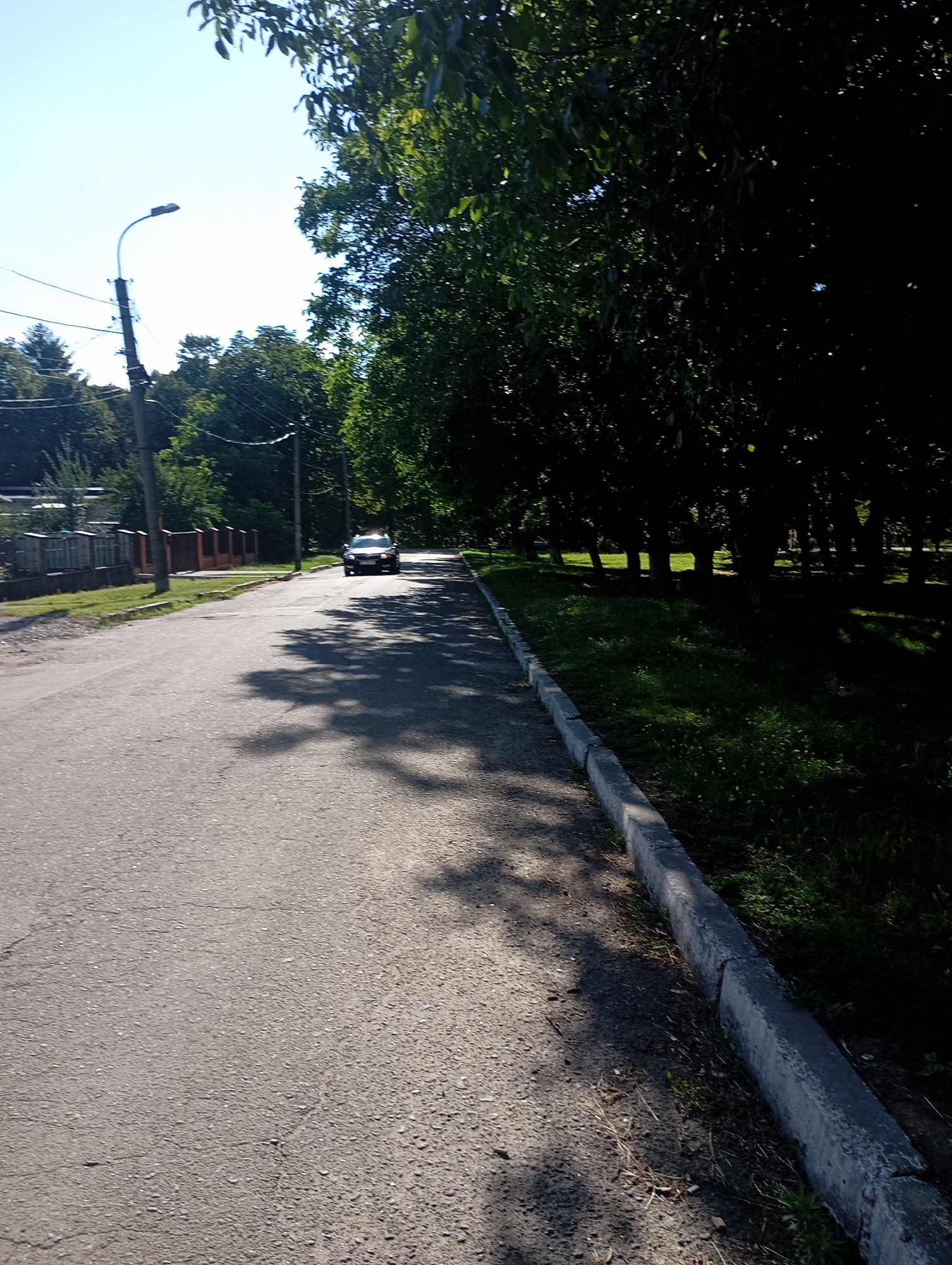 The image captures a street scene in Sozonivka, Ukraine, on a bright, sunny day. An asphalt road, showing some signs of wear with small cracks, runs from the foreground towards the distance. On the left side of the road, a sidewalk is bordered by a concrete curb, with patches of dry grass and scattered debris. Beyond the sidewalk, a low wooden fence with metal posts separates the road from a grassy area and some buildings.
On the right side of the road, a strip of green grass is shaded by a dense line of tall trees with dark green foliage, casting dappled shadows on the road. A concrete curb runs along the edge of the grassy area. In the middle distance, a dark-colored car is driving away from the viewer on the road. A streetlight with a curved arm stands on the left side of the road, near the foreground. The sky is clear and blue. The overall impression is a quiet, suburban street bathed in sunlight and framed by mature trees.