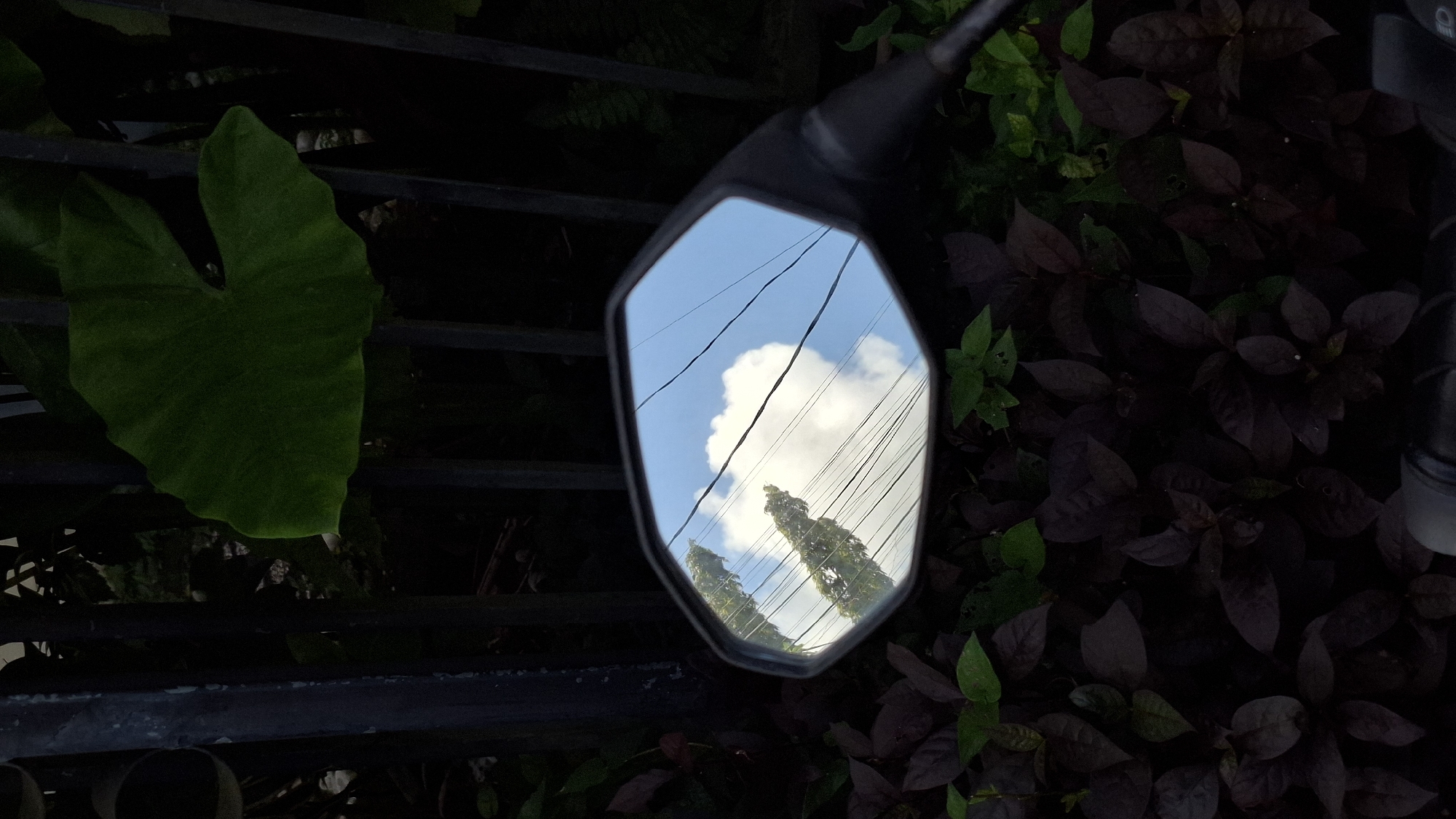 The image depicts a close-up of a motorcycle side mirror reflecting a bright sky with clouds, power lines, and tall trees. The mirror is positioned among lush greenery including a large green leaf on the left, and purple and green plants on the right. A dark metal railing is visible behind the leaf and beside the mirror. The lighting is bright, but the plants are somewhat shadowed. There is no specific information to confirm the location in Kuta Selatan, Indonesia.