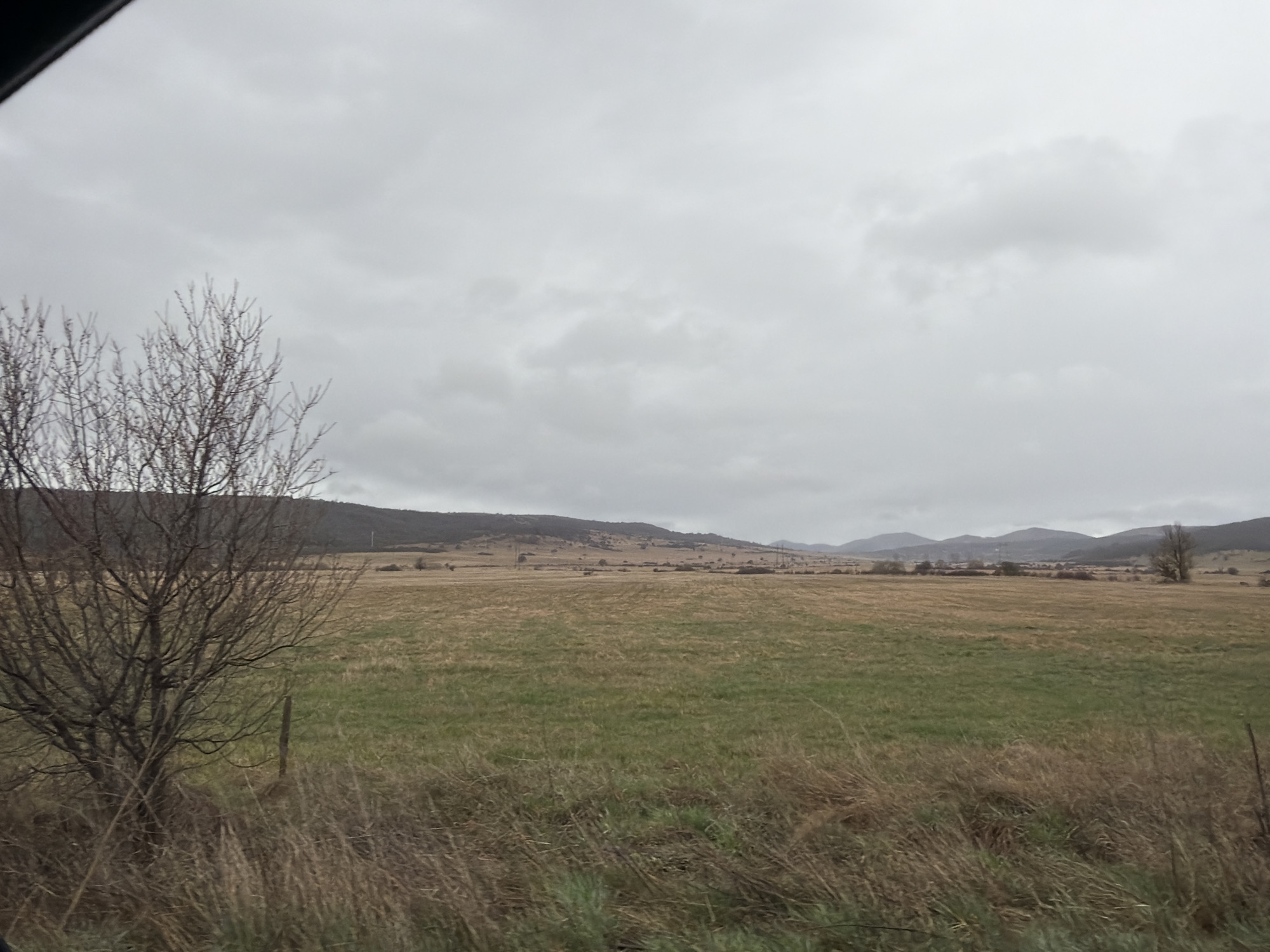 The image depicts an overcast, rural landscape near Drenovo, Bulgaria. In the foreground, a leafless tree stands to the left, with a field of mixed green and brown grass extending towards the horizon. The midground shows the field transitioning to a browner, recently harvested expanse. In the background, a range of low hills are visible under the grey sky. No people or animals are visible. A fence post is noticeable near the foreground vegetation.