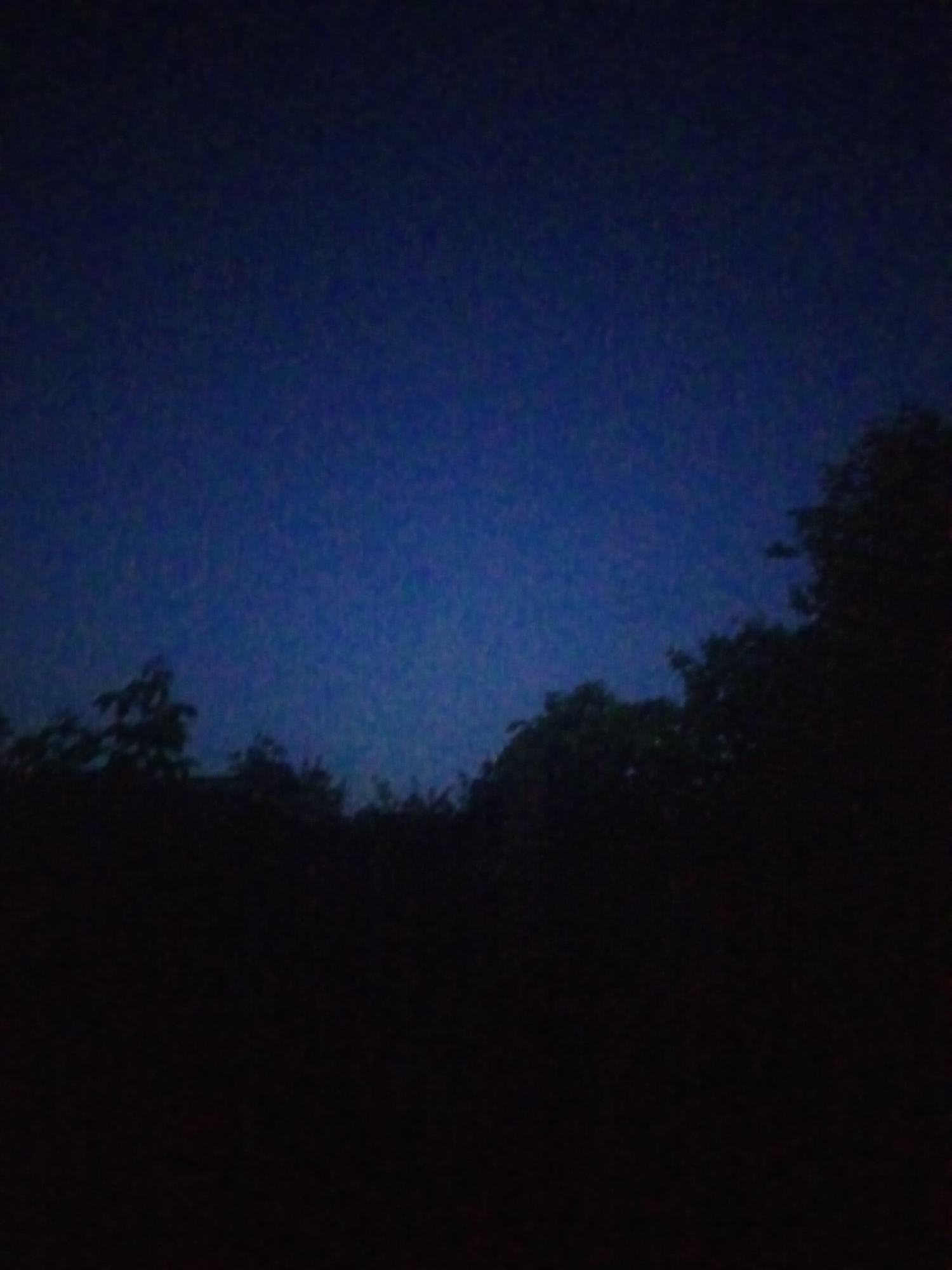 A dark blue sky is visible above a silhouetted line of trees that stretches across the bottom half of the image. The image appears to have been taken at dusk or night. No people, objects, or actions are discernible due to the low light conditions. The location is the city of Myrne, Ukraine.