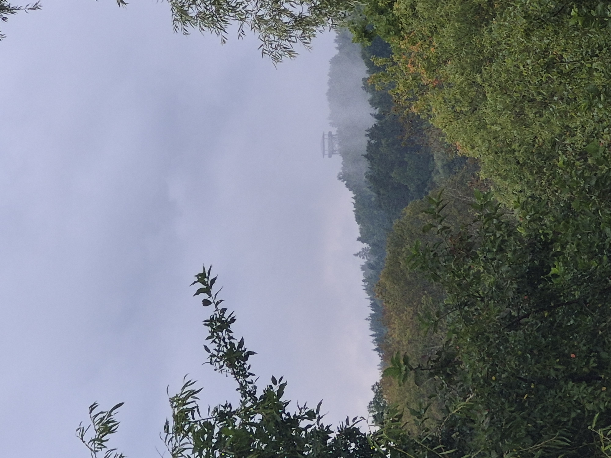 A distant observation tower is visible atop a misty, tree-covered hill. The foreground is dominated by lush green foliage, with branches and leaves framing the scene. The sky is overcast with a pale, diffused light, creating a soft, hazy atmosphere. The image appears to be taken on a cloudy day, possibly in the morning or late afternoon. There are no people or animals visible in the image.