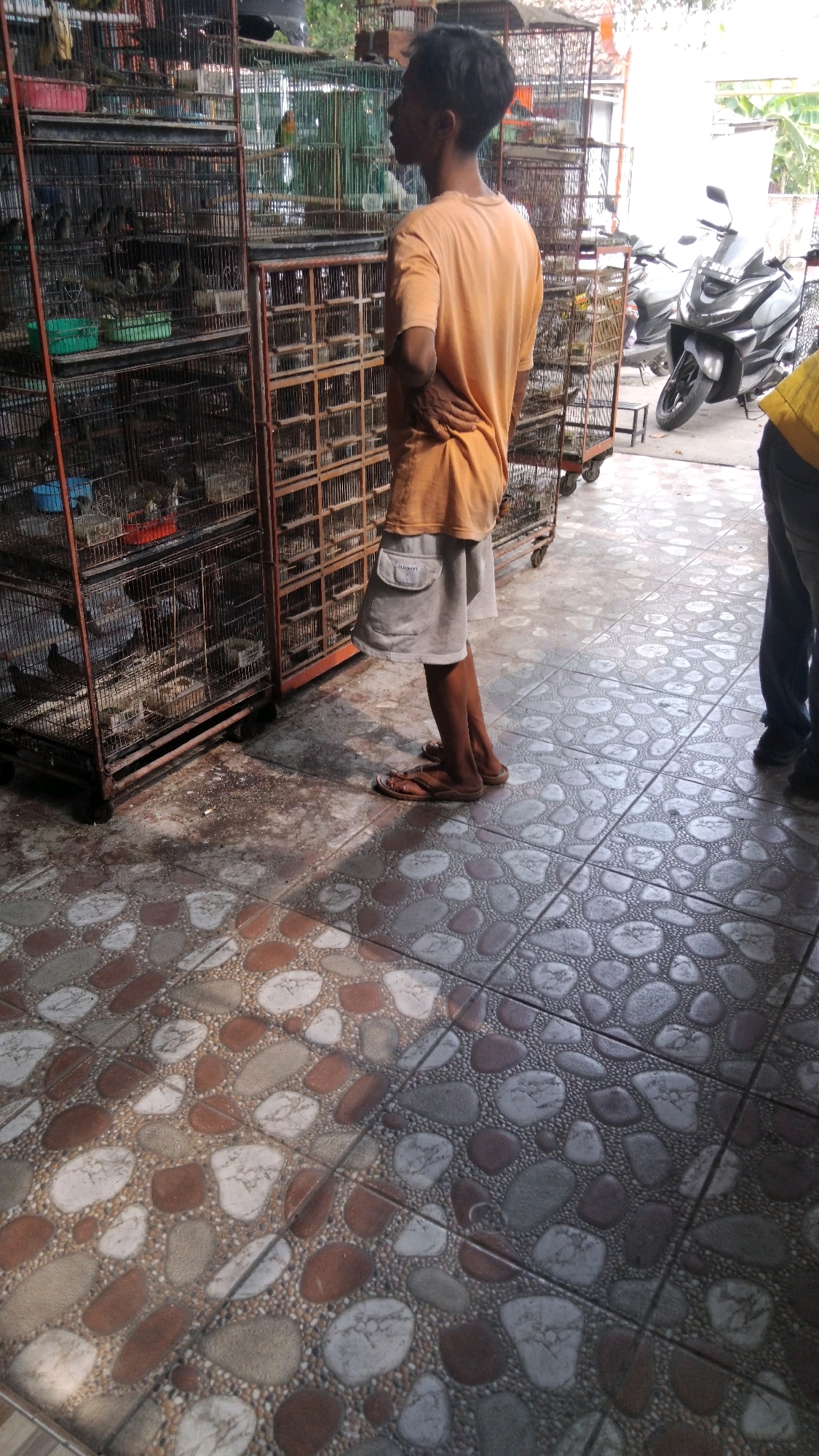 A young man in an orange t-shirt and grey shorts stands in front of several bird cages at an outdoor market in Tegal, Indonesia. He is looking to his right, with his right hand on his hip. The bird cages are stacked several high and are made of metal. Some of the cages contain birds. In the background, a dark-colored motorcycle is parked. The ground is tiled with a pattern of pebbles and stones. The scene appears to be a sunny day.