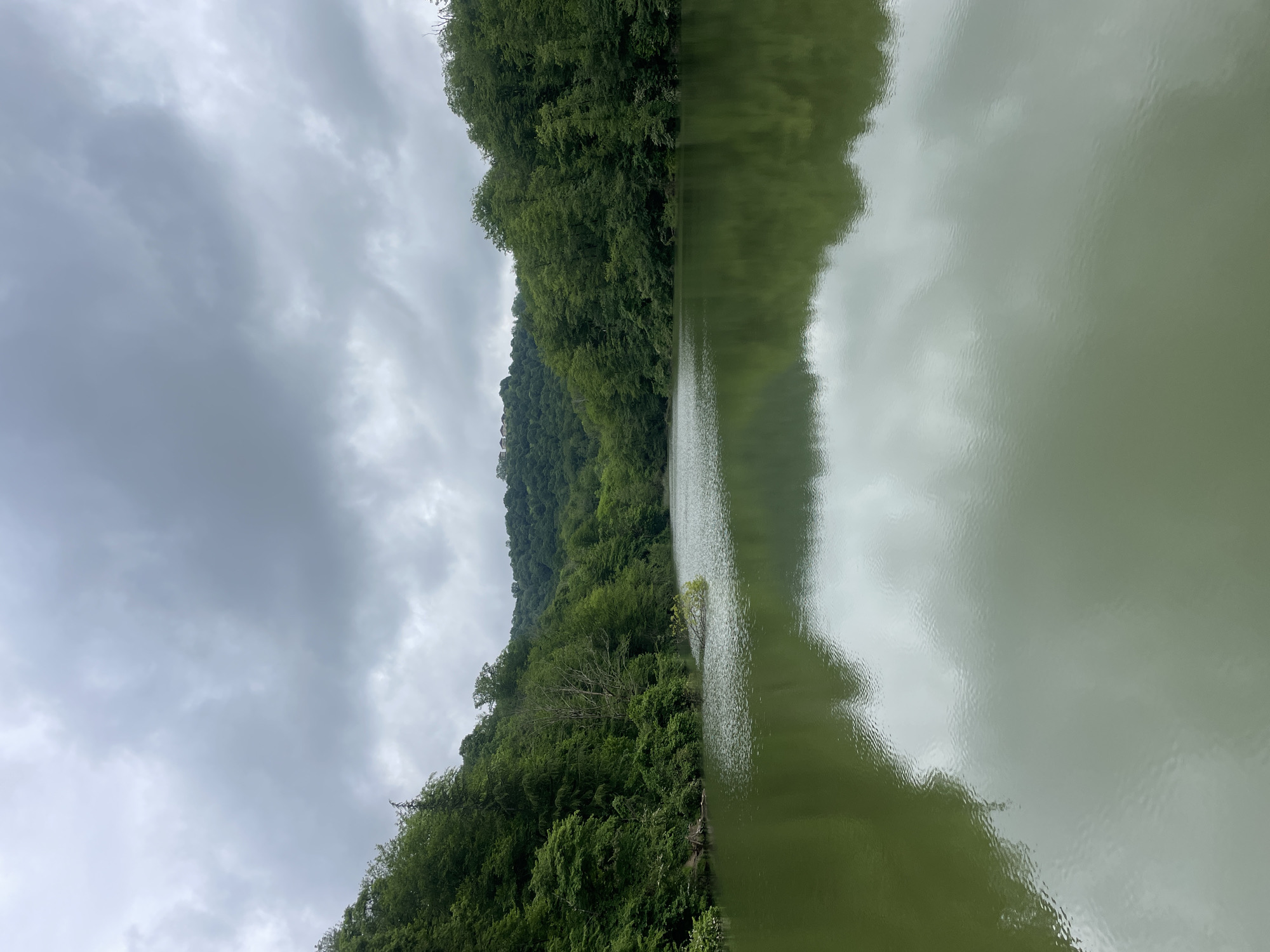 The image presents a landscape dominated by a body of water, likely a lake or wide river, with its still surface reflecting the overcast sky. The water has a muted, greenish hue, suggesting the presence of algae or sediment. On the left side, a densely forested hillside rises, covered in lush, green vegetation. The sky is heavily clouded, with a uniform grey tone, indicating a day of low sunlight. The photograph is shot from a ground-level perspective. While the location is reported to be near Razdolnoye, Russia, there are no recognizable landmarks or built structures visible in the image that definitively confirm this location. The scene depicts a natural environment devoid of human presence or activity.