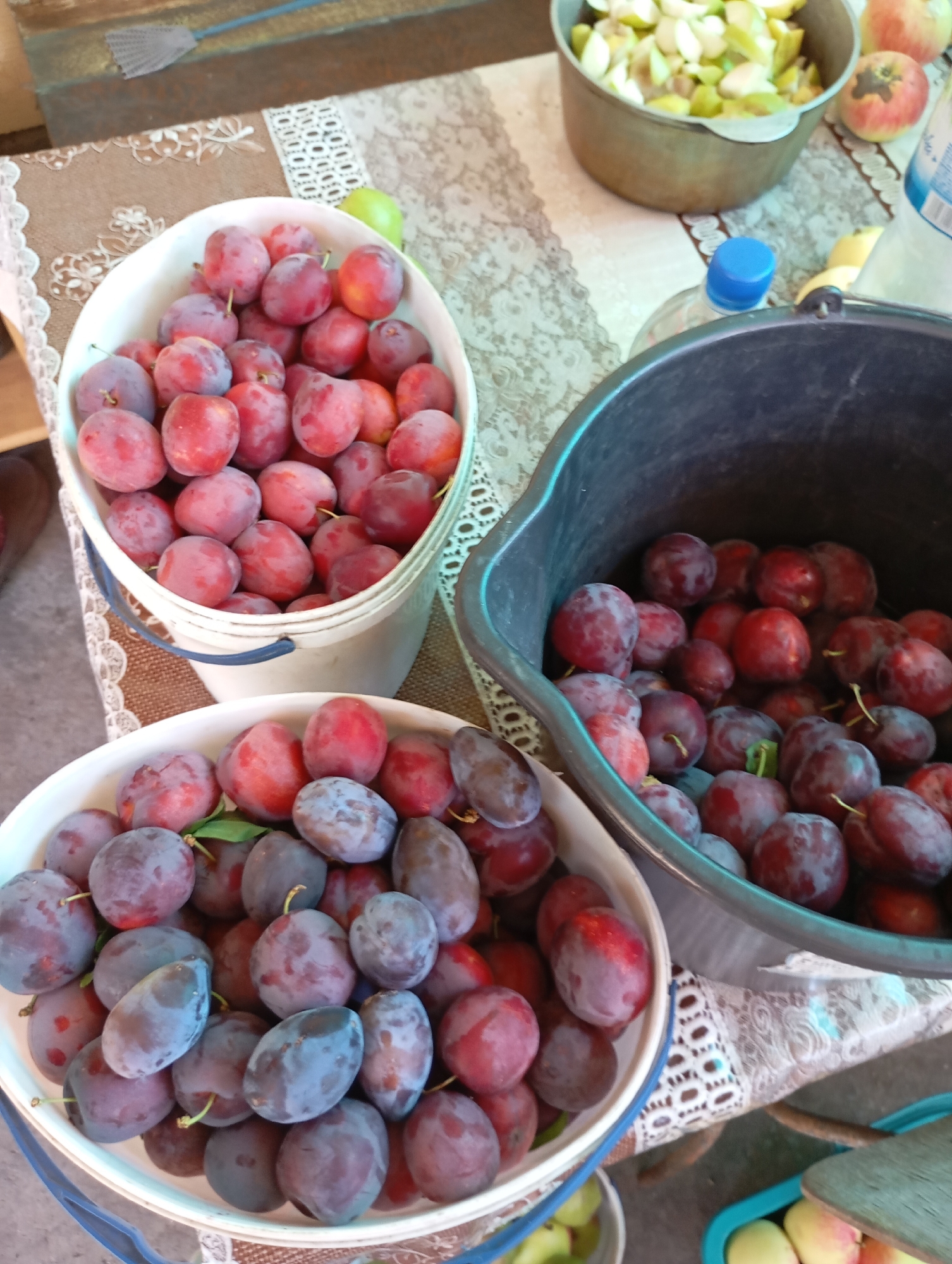 The image depicts an outdoor scene, likely in a residential yard or garden, in the city of Horishni Plavni, Ukraine. The focus is on several containers overflowing with fresh plums. In the foreground, a white bucket is filled with ripe plums, predominantly in shades of red and purple. To the right of this, a large, dark-colored bucket is also filled with plums, exhibiting a similar color range. A white bowl or basin is visible below the white bucket, also containing a significant quantity of plums. In the background, a metal pot holds sliced apples, and two whole apples are placed nearby. A blue-capped bottle and a partially visible yellow object are also on the table, suggesting preparation for food preservation or consumption. The overall impression is one of abundant harvest.
