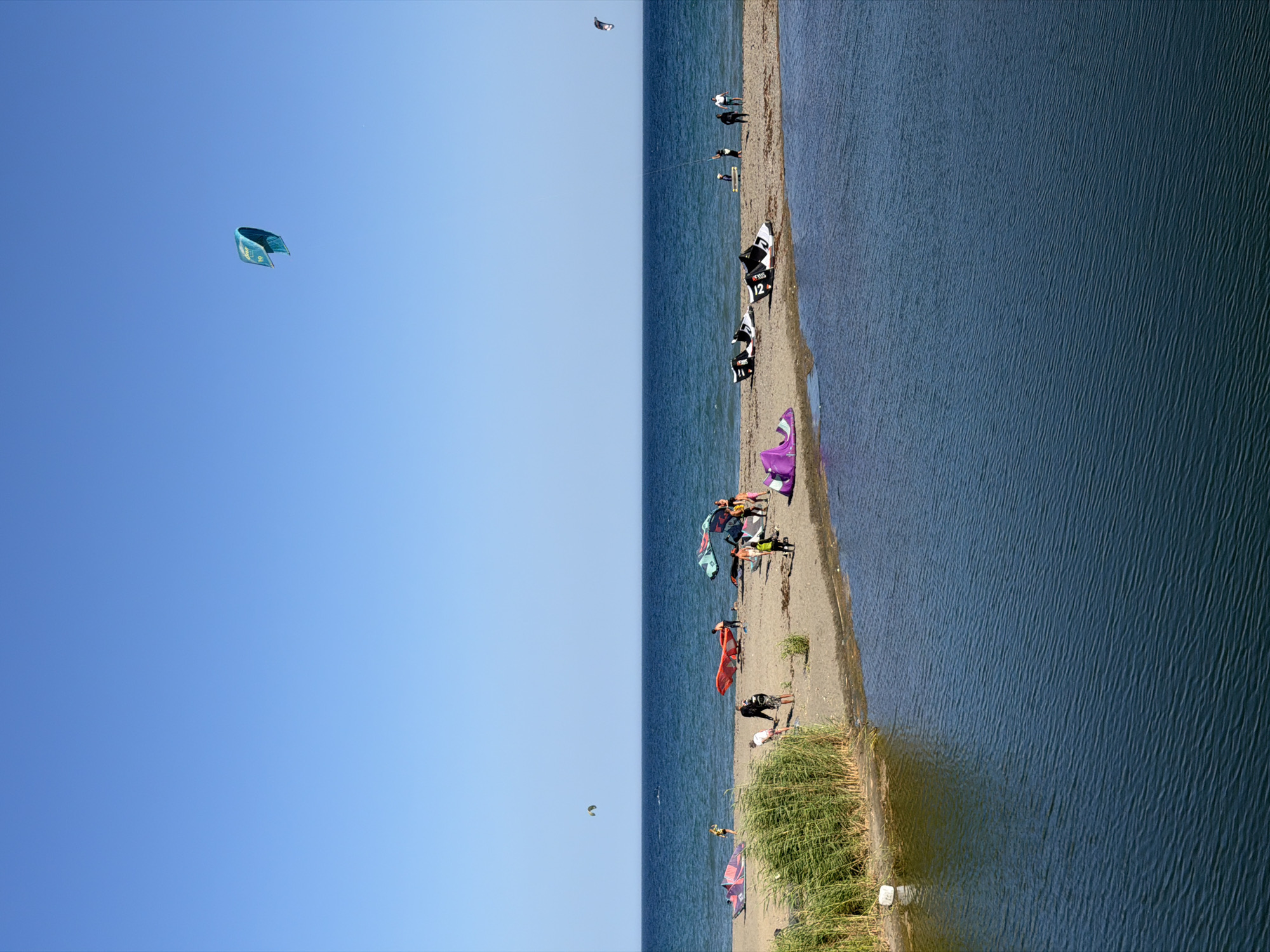 This is a vertical, eye-level, full shot of a beach with several people engaged in kitesurfing activities. The sky is clear and blue. The ocean is a deep blue and slightly choppy. A sandy beach area separates the ocean from a calm body of water in the foreground.
On the sand, there are numerous kitesurfing kites laid out on the beach, some of which are inflated and appear to be ready for use. Several individuals are visible on the beach, some appearing to be setting up equipment, others walking, and some possibly engaged in instruction. A few kites are in the air, including a large blue kite in the upper right quadrant of the sky, and a smaller, darker kite further in the distance on the left.
There is dense, tall green vegetation along the left edge of the calm water in the foreground. The beach is populated with various colorful kites and some individuals are interacting with their equipment and each other, suggesting an active kitesurfing community or event. The scene depicts a recreational beach environment focused on kitesurfing.
