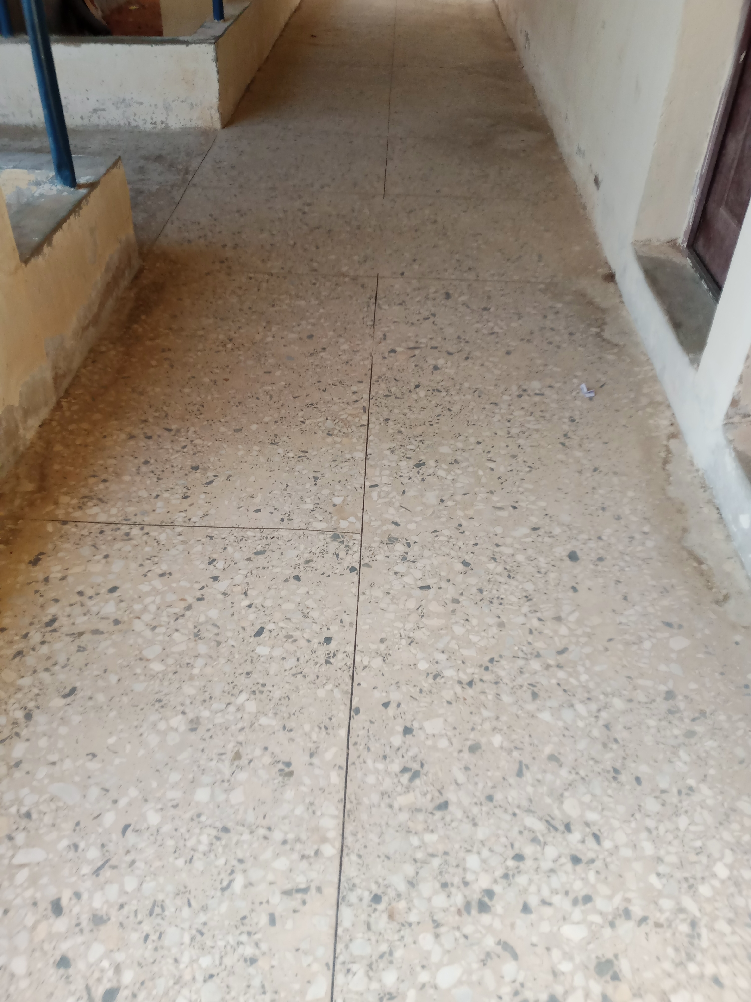 The image shows a terrazzo floor in a hallway. The floor is made up of small chips of various colors, including white, gray, and black, embedded in a light-colored cement base. The hallway appears to be indoors, with a wall on the right side of the image that is painted a light color. A dark-colored door is visible on the right wall. A railing, painted blue, is visible on the left side of the image, along with a step or ledge. The lighting suggests the image was taken during the day. The overall impression is of a simple, utilitarian indoor space, likely in a public building or residence. Without further context, it is impossible to determine the specific location within Jalingo, Nigeria, though it resembles common building materials found throughout the city.