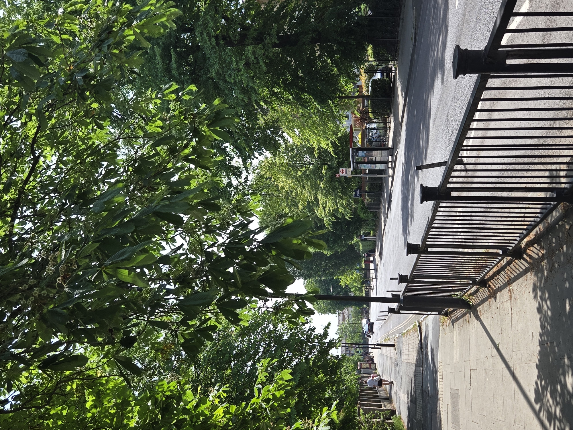 The image depicts a street scene in London, United Kingdom, characterized by lush greenery. On the left, trees with dense foliage dominate the view, filtering sunlight. A black metal fence runs along the right side of the image, casting shadows on the sidewalk. Beyond the fence, a road stretches into the distance, lined with more trees and shrubs. A bus stop with signage is visible further down the road. A person is walking on the sidewalk alongside the fence. A car is parked on the street in the distance. The scene is illuminated by bright sunlight, creating strong contrasts between light and shadow.