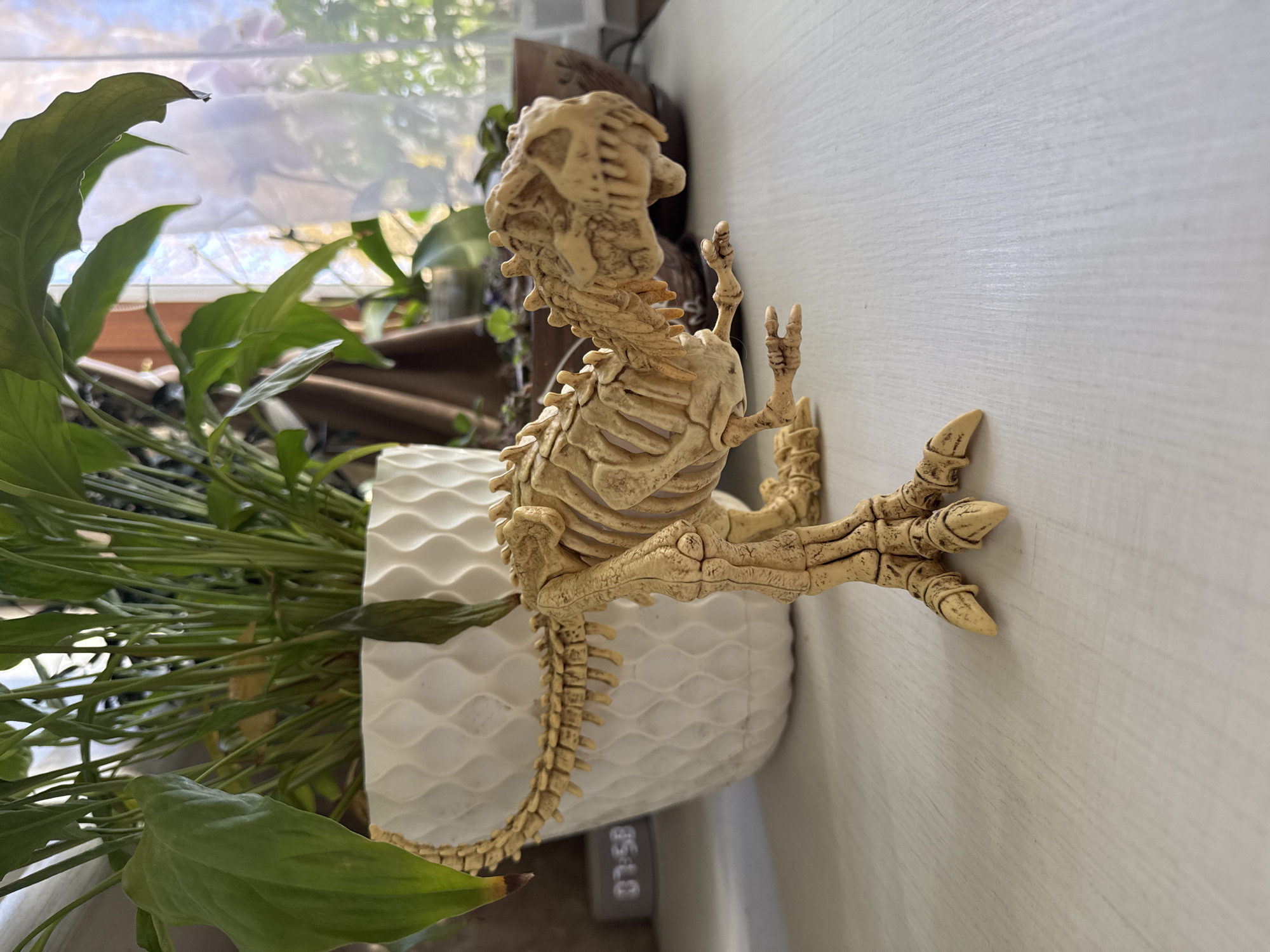 A pale, skeletal Tyrannosaurus Rex figure perches on the edge of a white, textured planter. The planter contains a large, green plant. The dinosaur leans against a white wall. A window is visible in the background. The location is Razdolye, Russia.