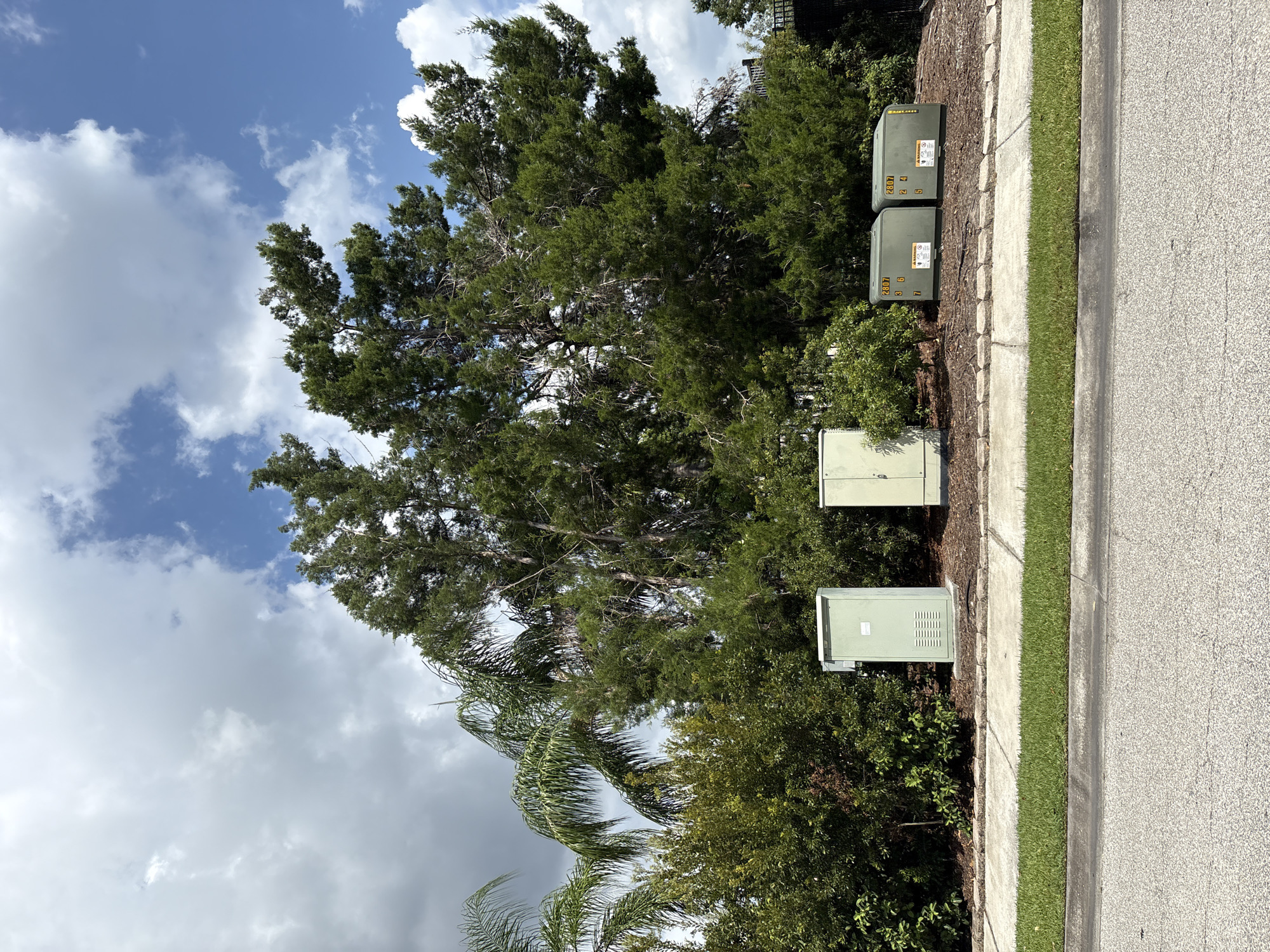 In Parrish, Florida, along a paved road bordered by a strip of green grass, a sidewalk runs parallel to a landscaped area. This landscaped area is populated by lush green bushes and trees, with a prominent cluster of tall, mature trees forming a backdrop. In front of the trees, and on the landscaped strip, stand three utility boxes. Two of the boxes are identical in size and olive-green in color, each displaying yellow warning labels and numbers in the upper center. The third box, to the left of these two, is taller and a lighter green, also featuring a warning label. The sky above is a mix of bright blue with scattered white and gray clouds.
