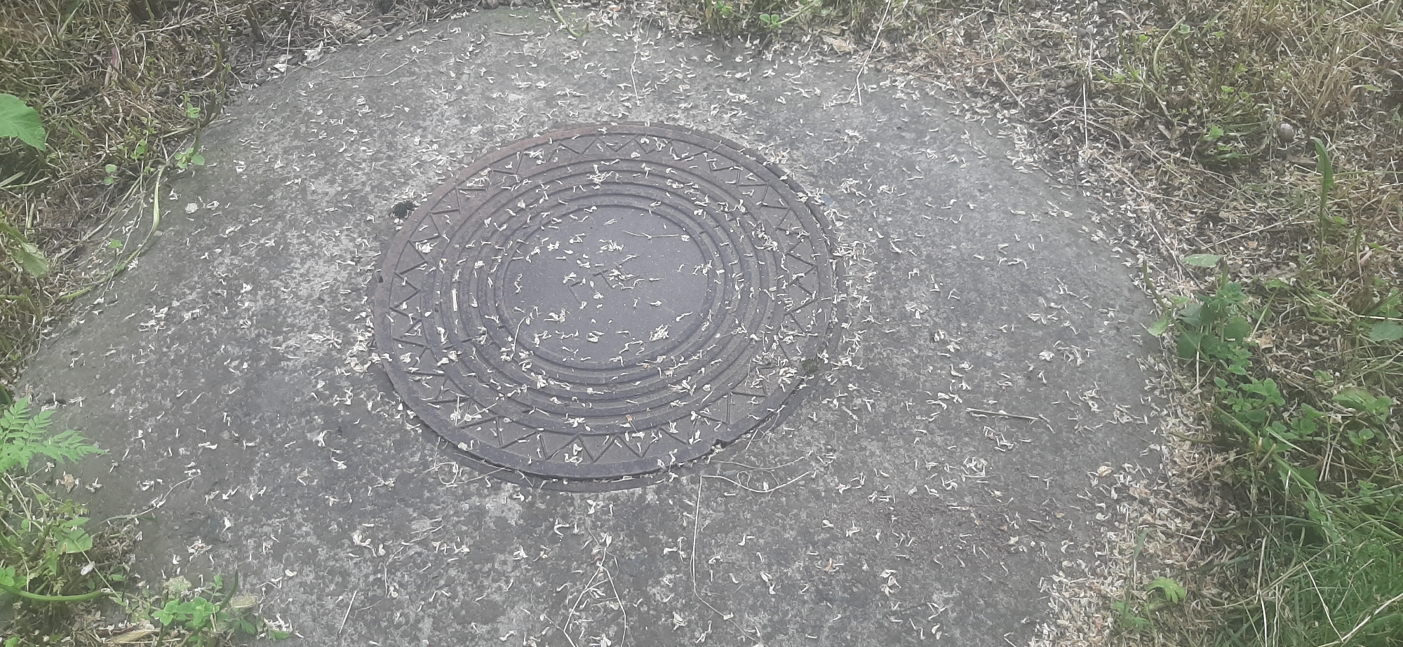 The image shows a circular manhole cover set into a paved surface, likely concrete. The manhole cover has a concentric ring design with a triangular pattern around its outer edge. The paved area is speckled with light-colored debris, possibly dried leaves or plant matter, and is bordered by dry grass and green foliage. The overall scene suggests an outdoor environment, potentially a park or a residential area. No people or vehicles are visible. The image is taken from a high-angle, looking down at the manhole cover. The location is identified as Yessentukskaya, Russia.