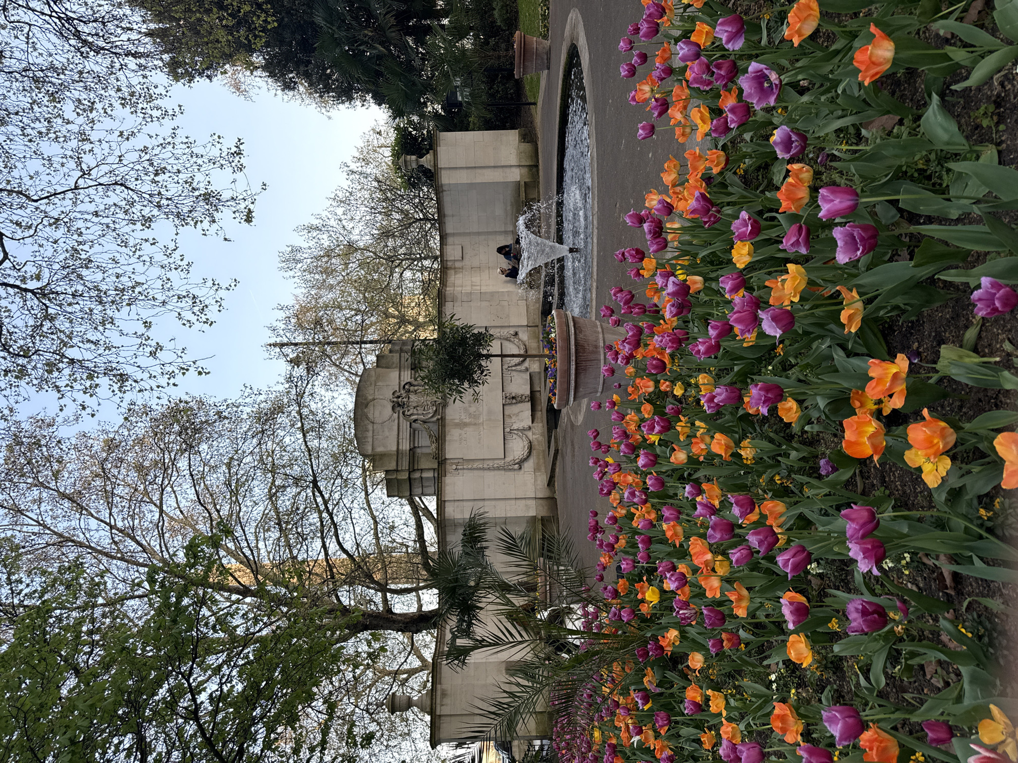 This image depicts a garden scene in London, United Kingdom. A line of orange and purple tulips borders a paved pathway leading toward a water fountain. The fountain, set in a gray stone basin, features a central jet of water spraying upward. Behind the fountain stands a series of pale stone structures or walls. Trees with bare branches frame the left side of the image, while a few green trees are also visible. Two people are seated near the fountain. The sky is a pale blue.