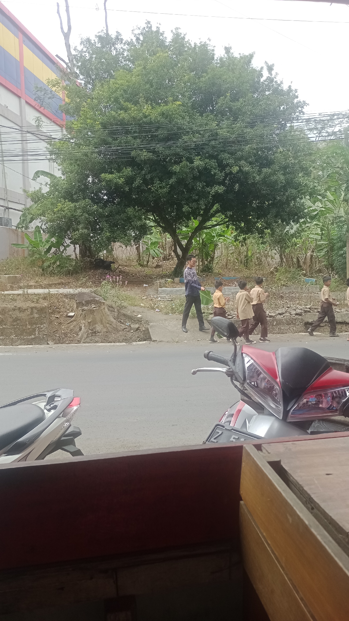 In Cikalong, Indonesia, a man in a patterned shirt and dark pants walks on a paved path next to a road, accompanied by several young boys in school uniforms. The boys appear to be walking in the same direction as the man, with some holding what look like light-colored sheets. They are positioned to the man's right. Behind them, a large, leafy tree dominates the midground, with banana trees and other foliage visible. To the left, a building with a multi-colored facade, featuring stripes of yellow, blue, and red, is partially visible. Power lines are strung across the scene. In the foreground, the front of two parked motorcycles is visible, with a reddish-brown wooden structure obscuring the lower portion of the frame. The ground near the path is uneven, with exposed roots and some dry vegetation. The sky is overcast.