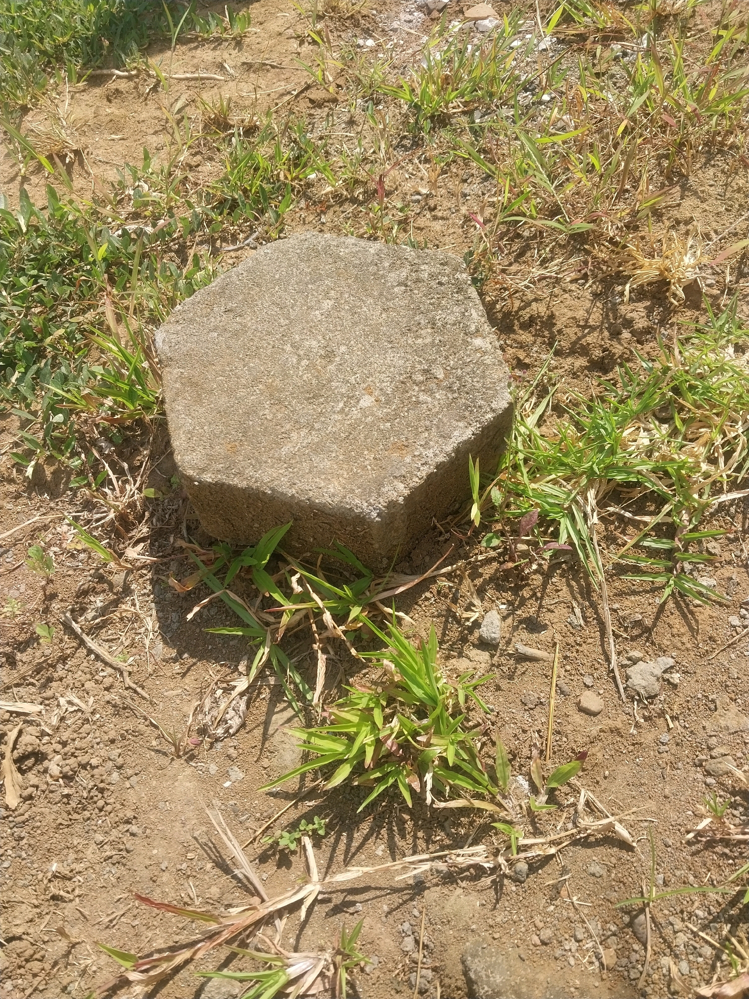 The image shows a hexagonal concrete paver lying on dry, dusty ground with sparse, dry grass and some green shoots. Small pebbles and dried plant matter are scattered across the surface. The paver is gray and appears weathered. The scene is outdoors, likely in a yard or unkempt area. No people or animals are visible. The lighting suggests it is daytime, with shadows cast by the paver and vegetation. The location is identified as Sleman, Indonesia.